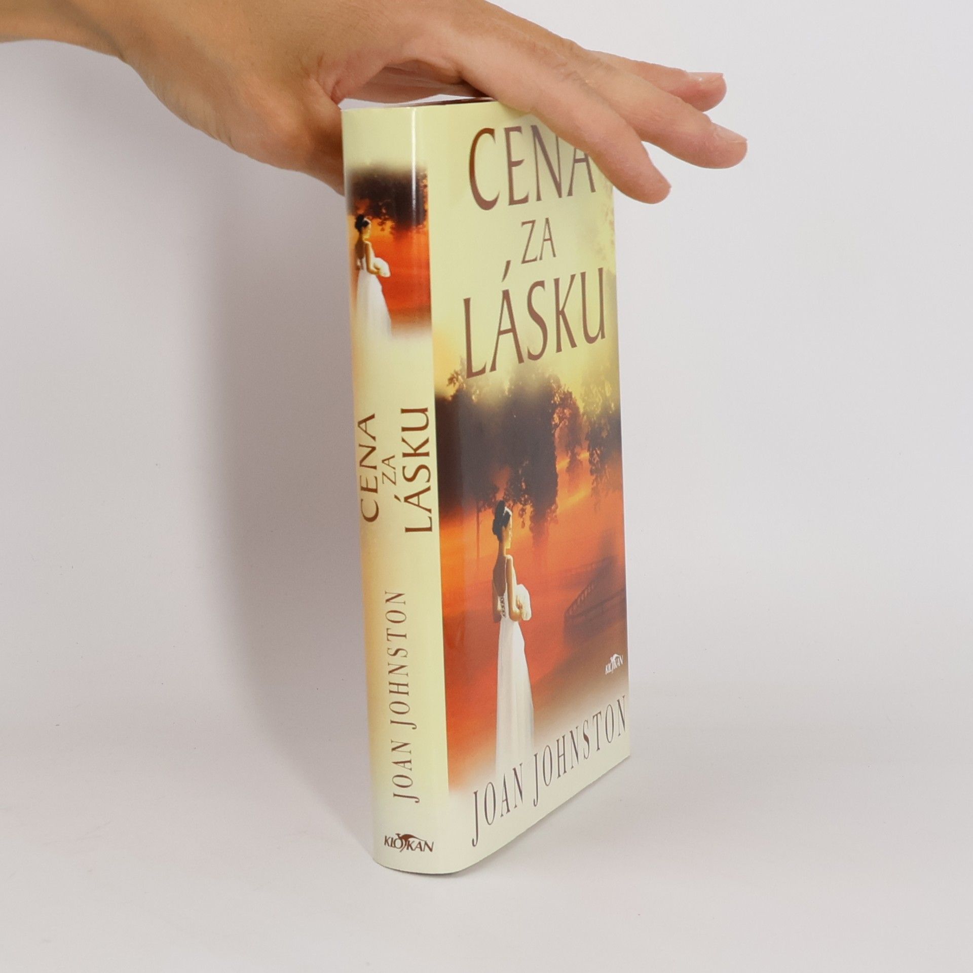 Joan Johnston Cena za lásku