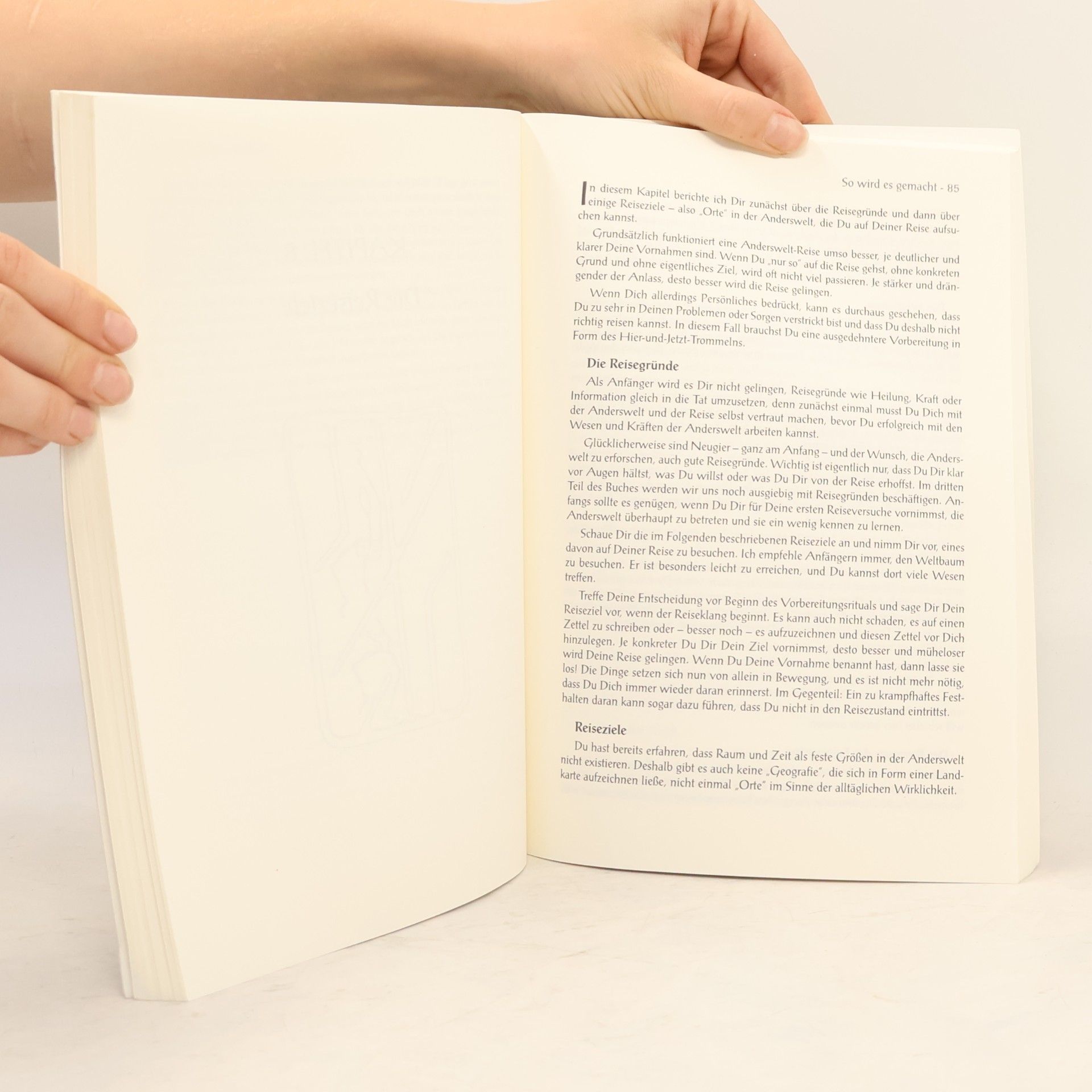 Axel Brück Die Andersweltreise. Praxisbuch Schamanische Reise