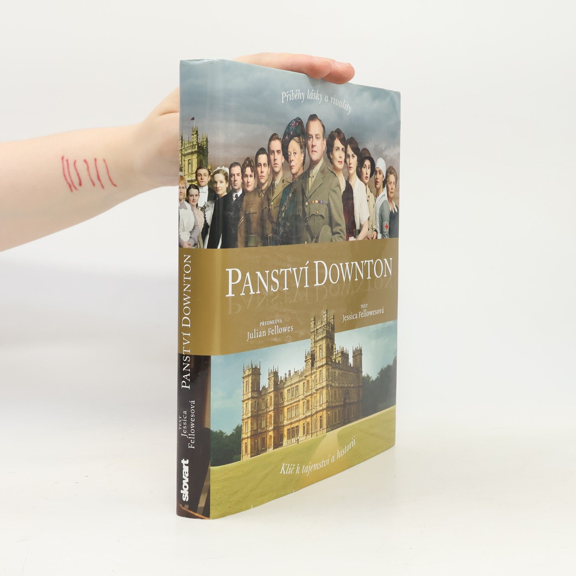 Julian Fellowes Panství Downton. Příběh lásky a rivality