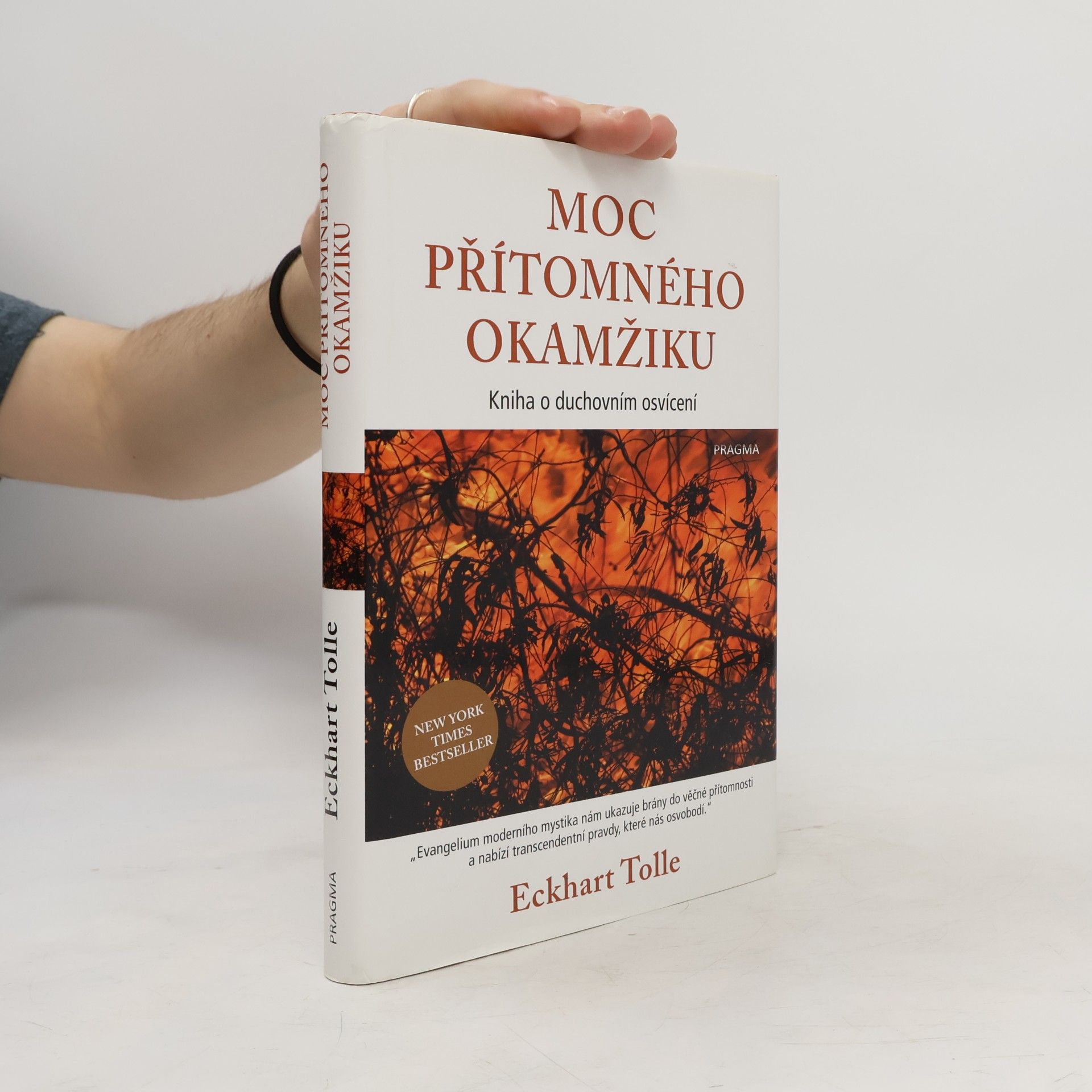 Eckhart Tolle Moc přítomného okamžiku