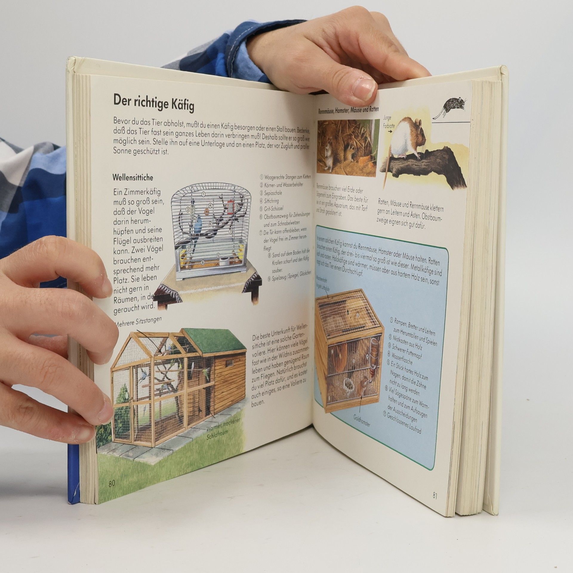 Ravensburger Buchverlag Alles was ich wissen will