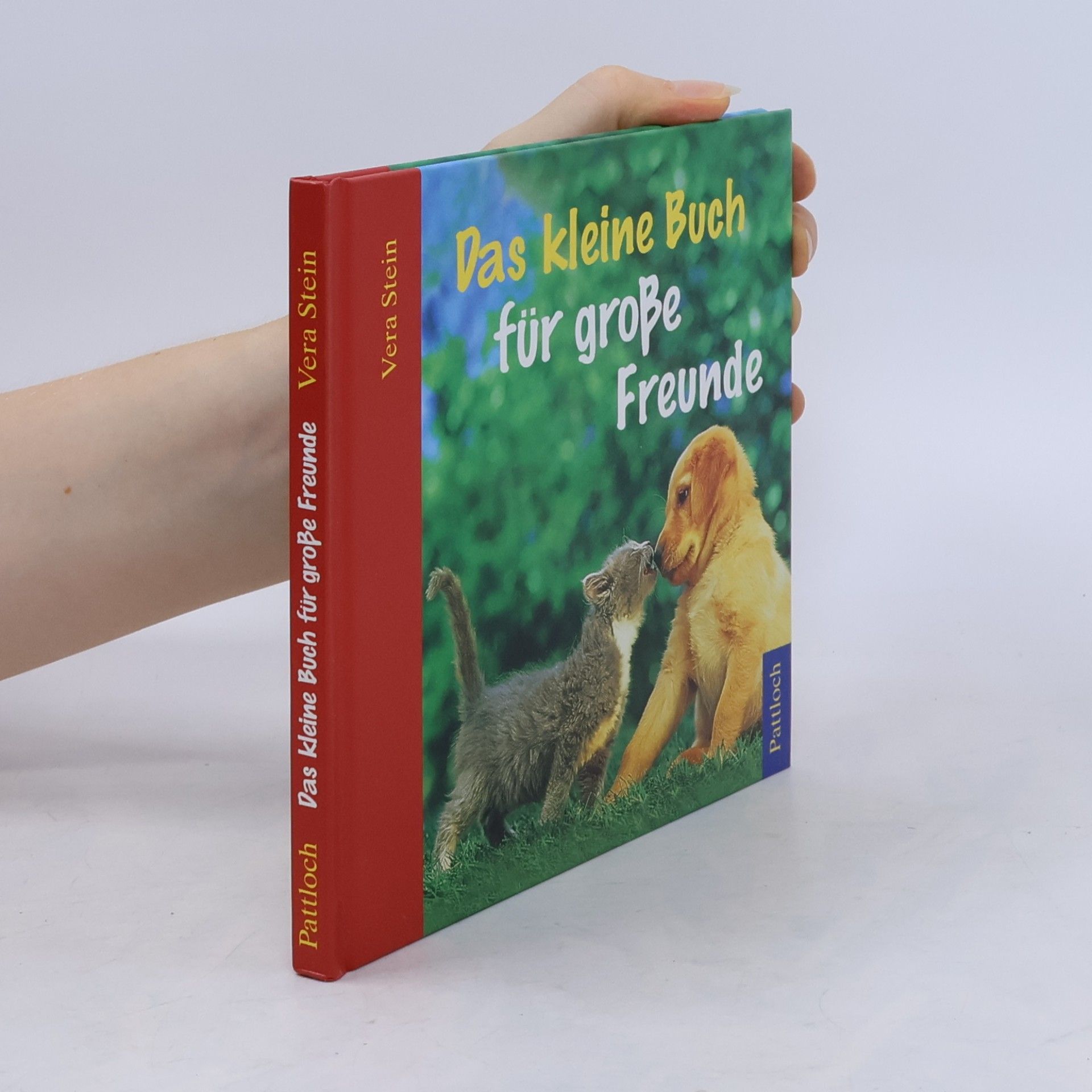 Vera Stein Das kleine Buch für große Freunde
