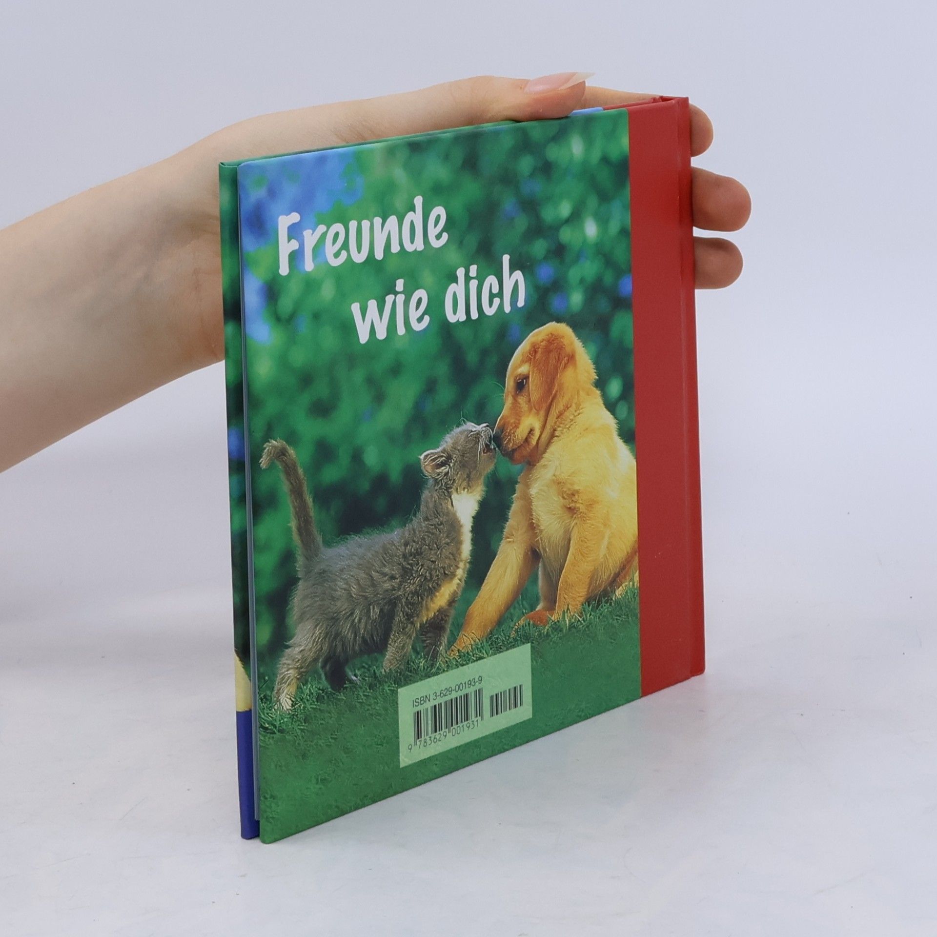 Vera Stein Das kleine Buch für große Freunde
