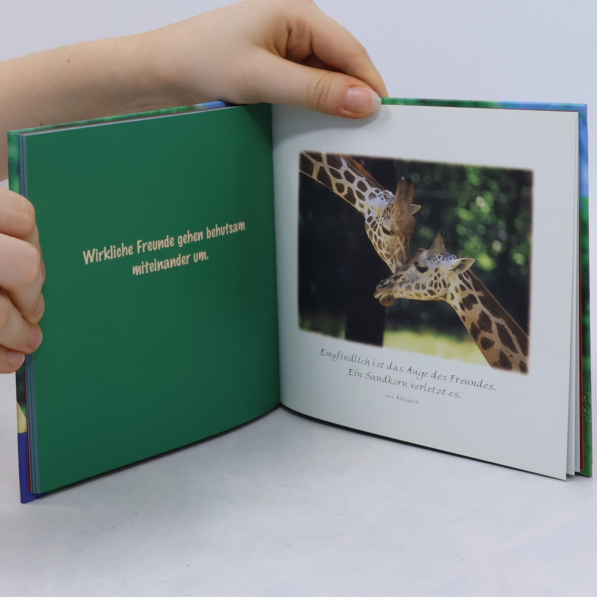 Vera Stein Das kleine Buch für große Freunde
