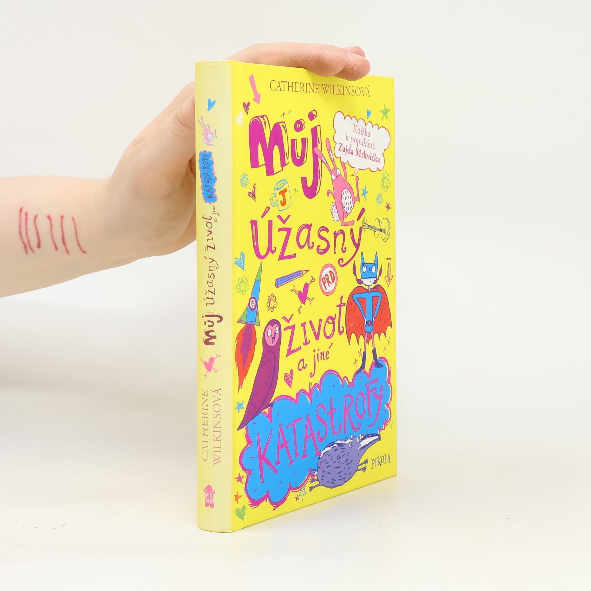 Catherine Wilkins Můj úžasný život a jiné katastrofy