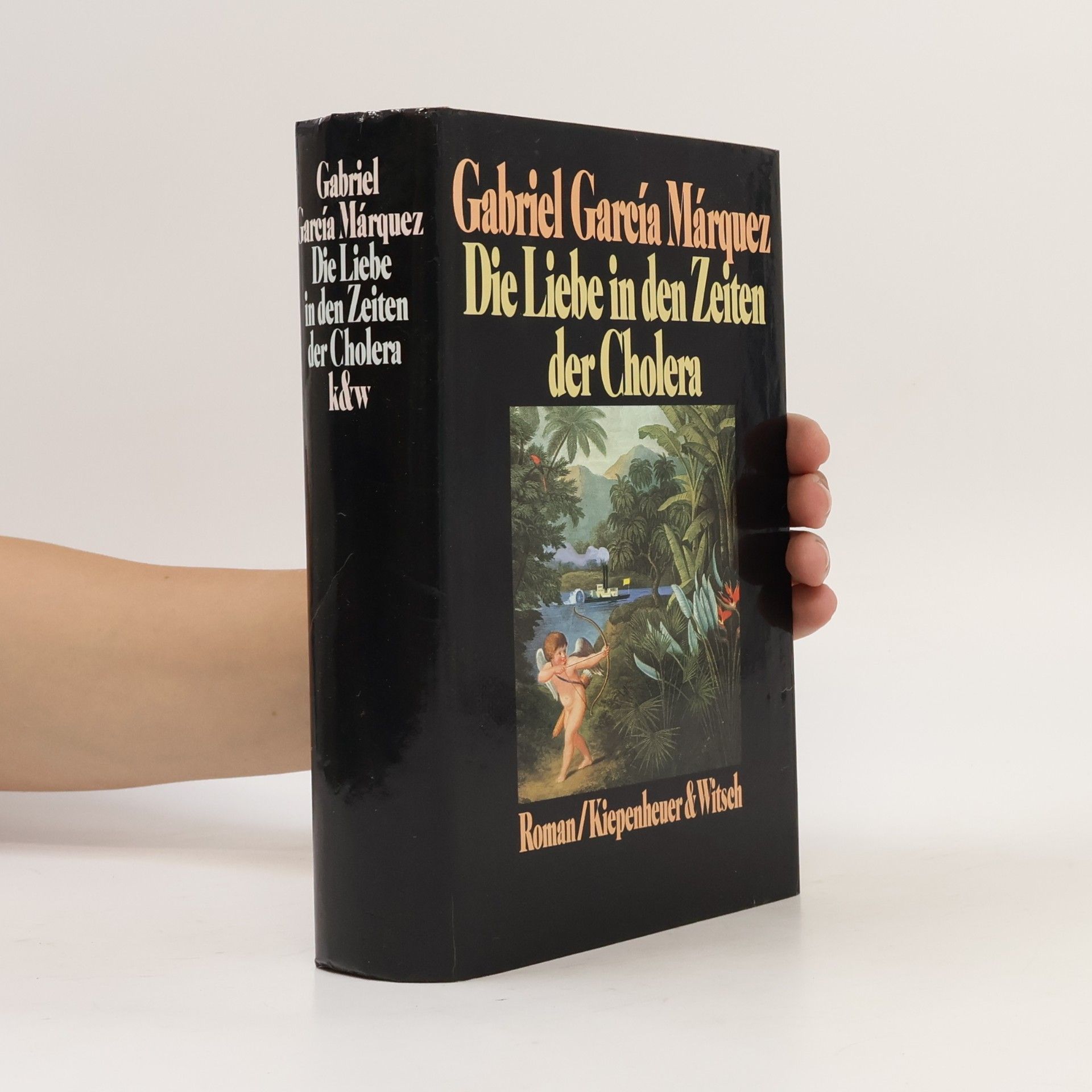Gabriel García Márquez Die Liebe in den Zeiten der Cholera