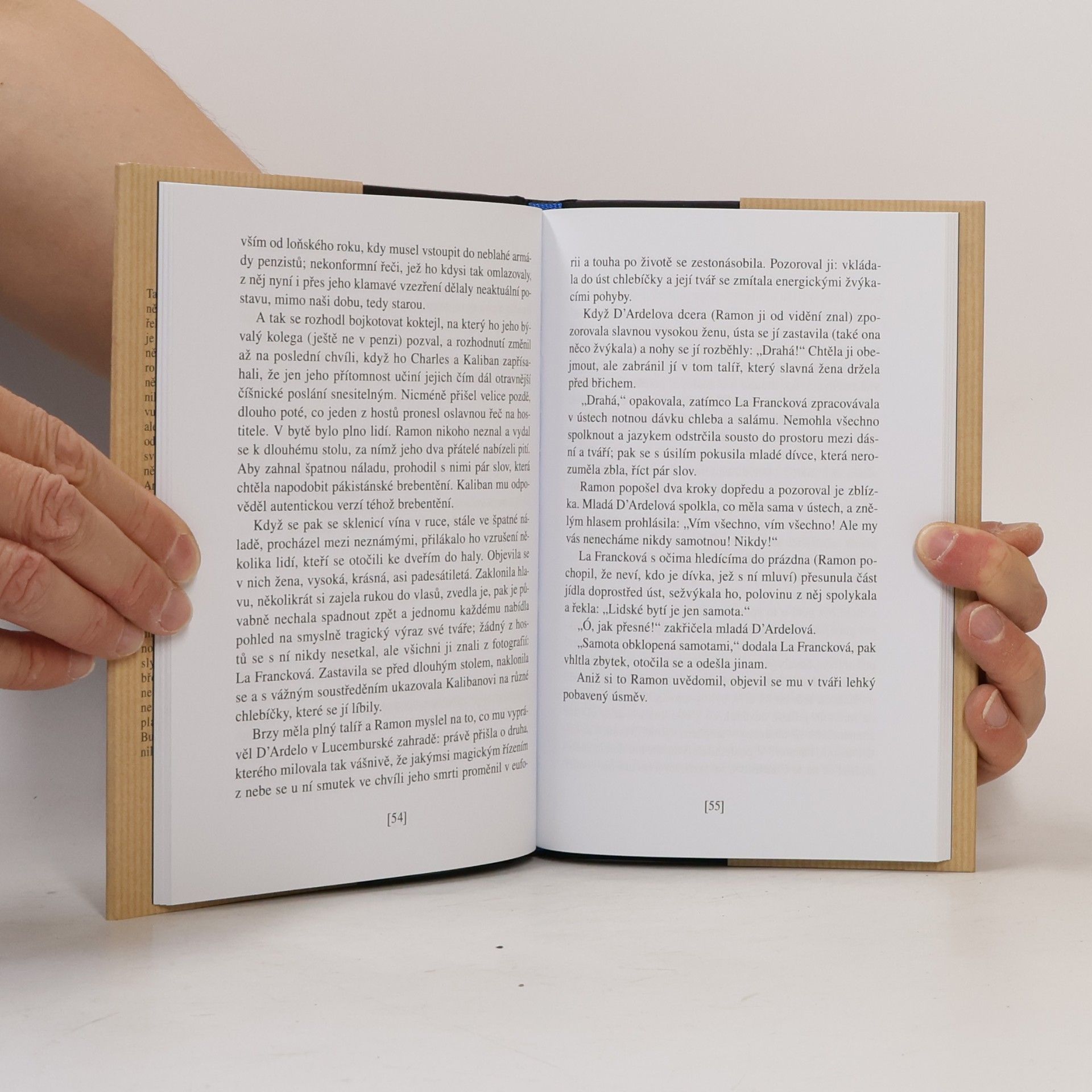 Milan Kundera Slavnost bezvýznamnosti