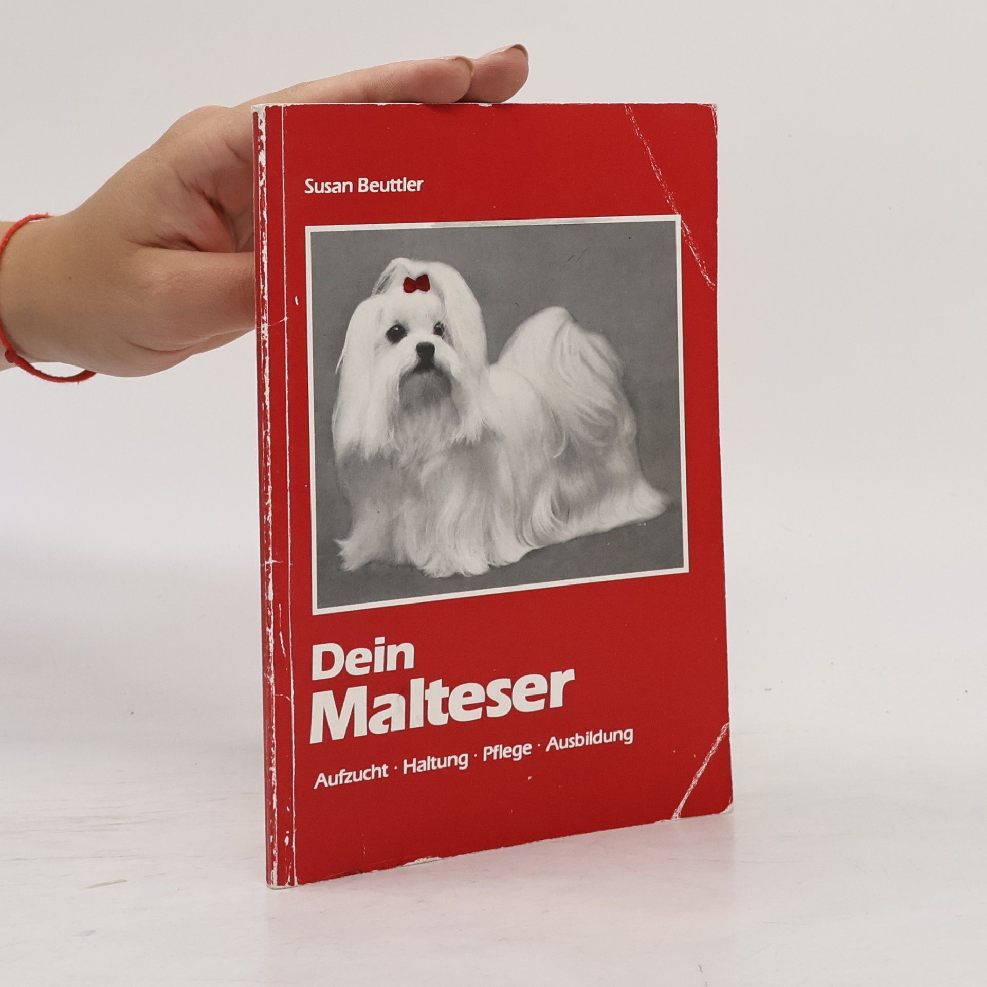 Dein Malteser