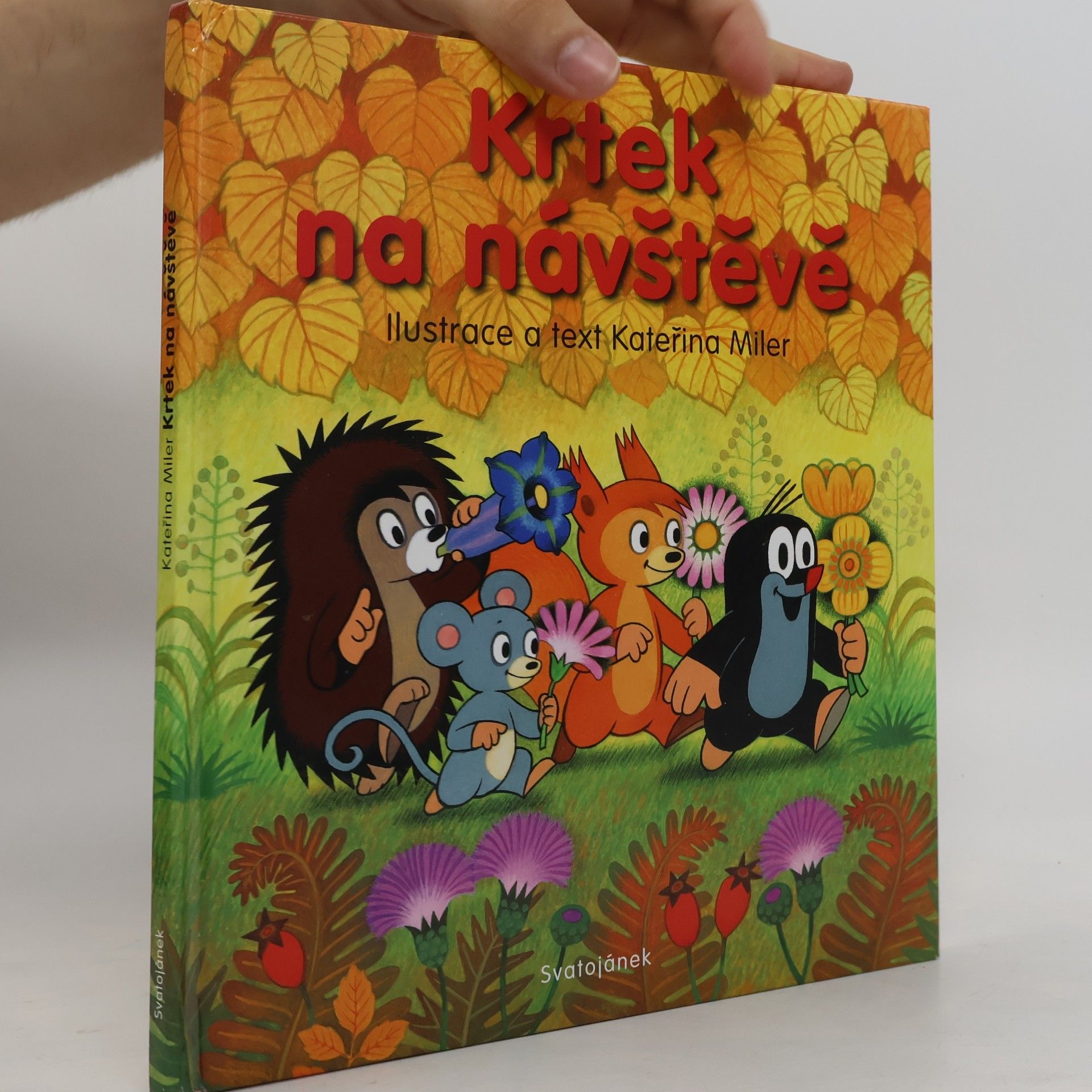 Kateřina Lovis Miler Krtek na návštěvě
