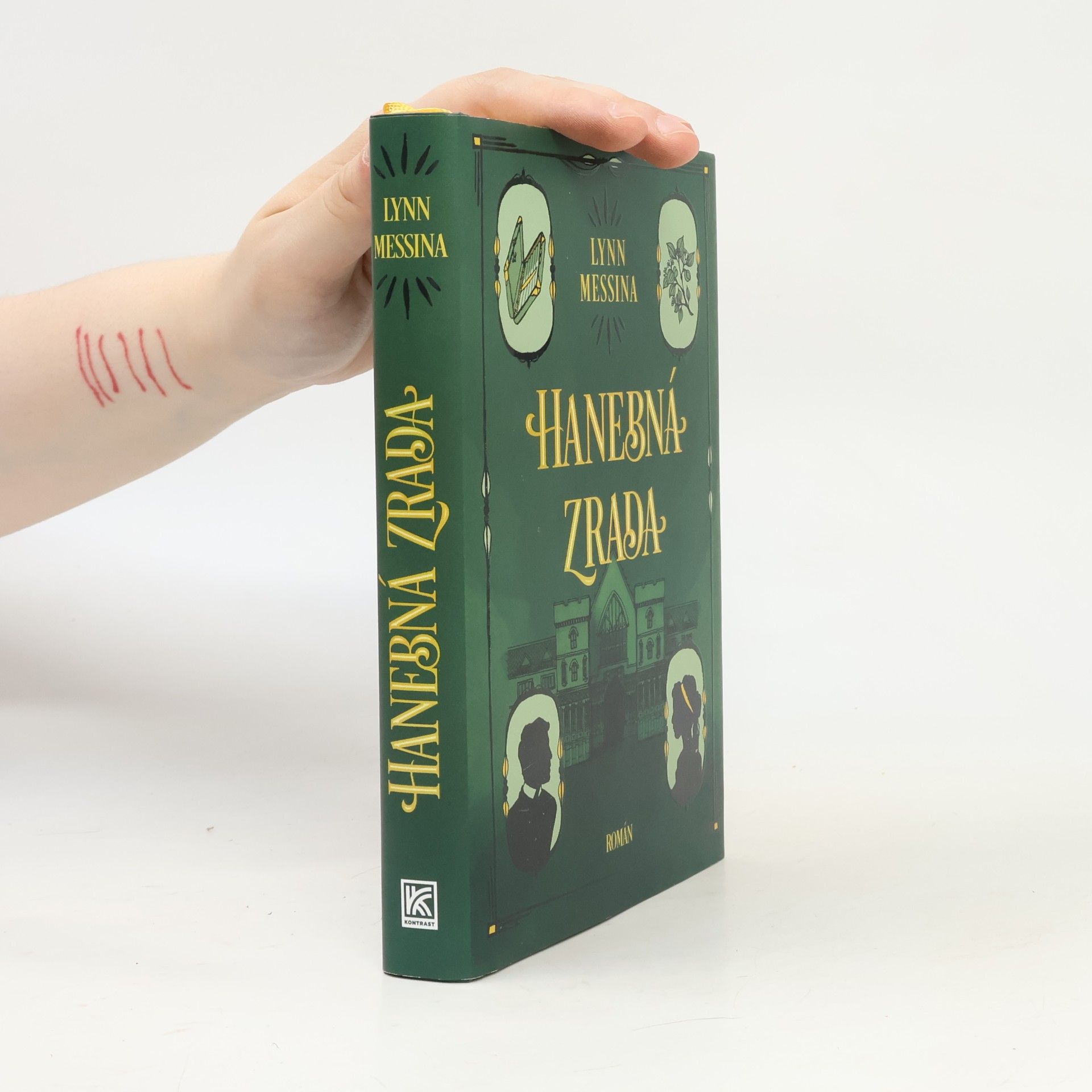 Lynn Messina Hanebná zrada