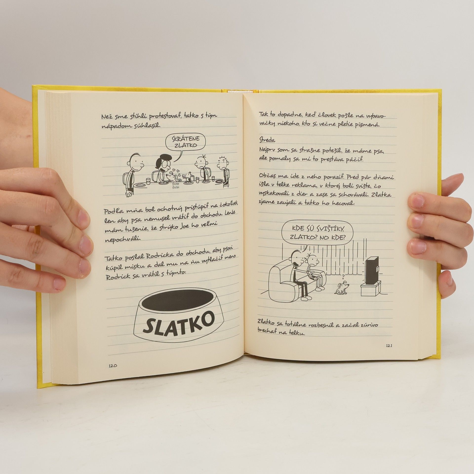 Jeff Kinney Denník odvážneho bojka 4: Prázdniny pod psa