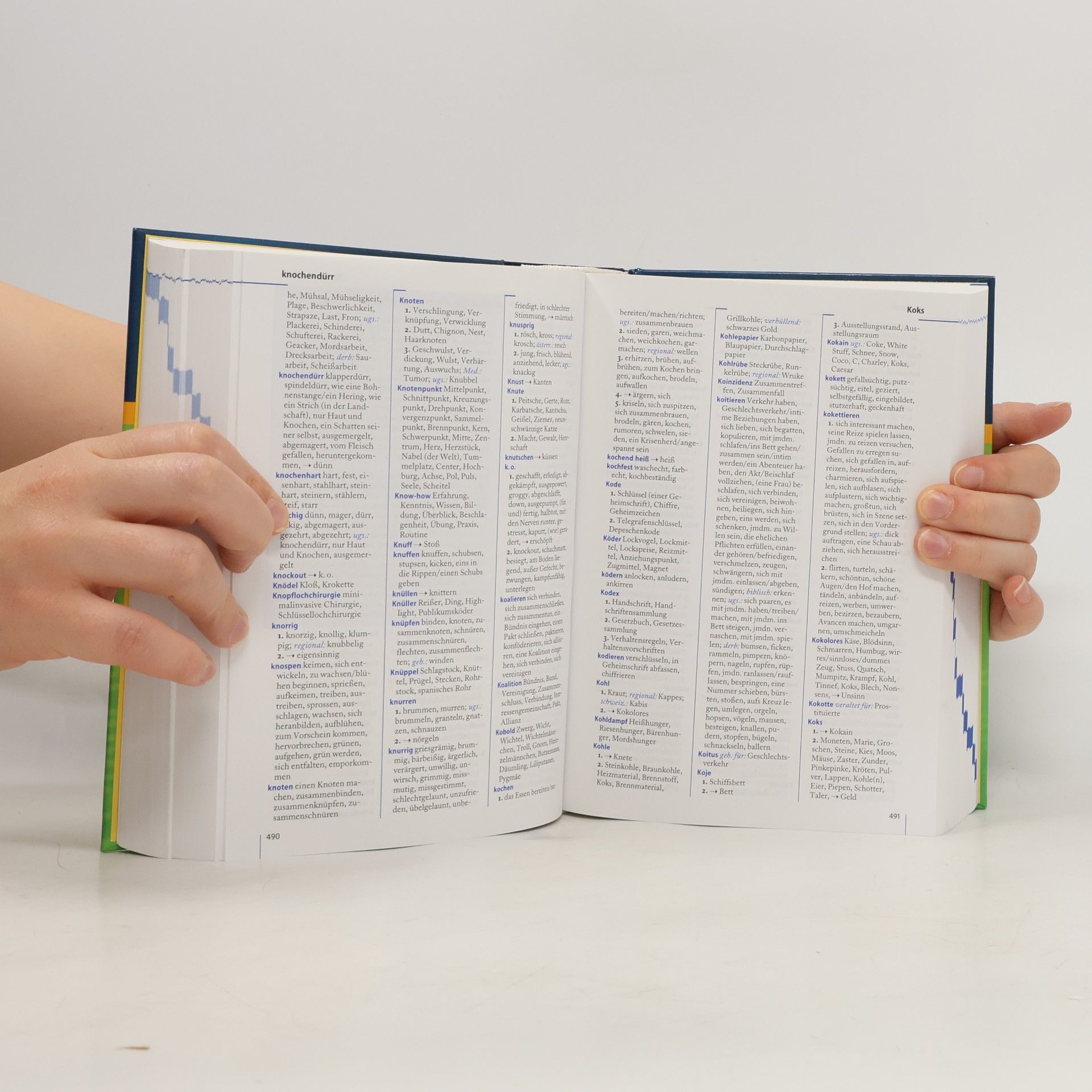 Sabine Krome Brockhaus Wahrig Synonymwörterbuch