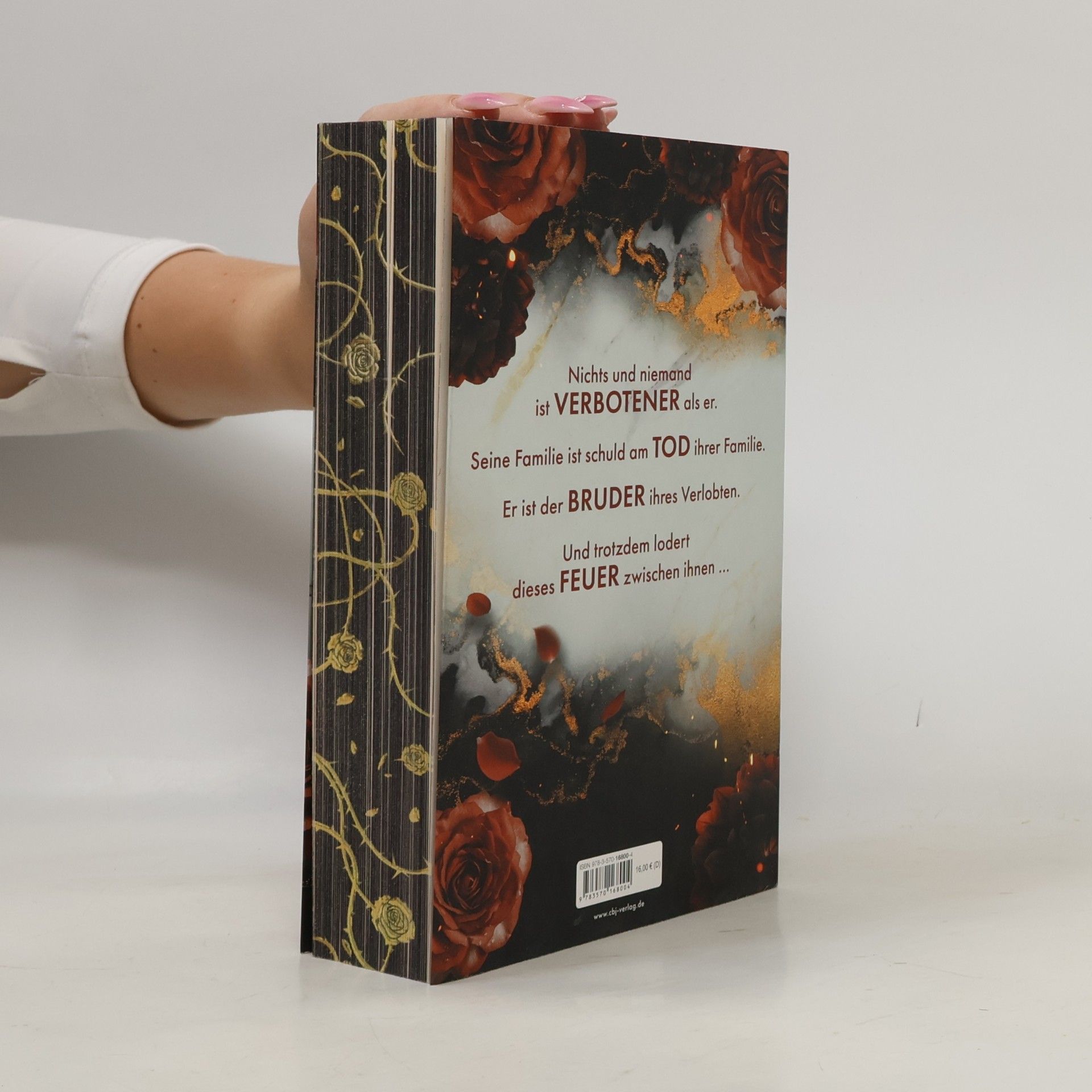 Nina Martin Die Revenge-Reihe - 1: Burning Revenge