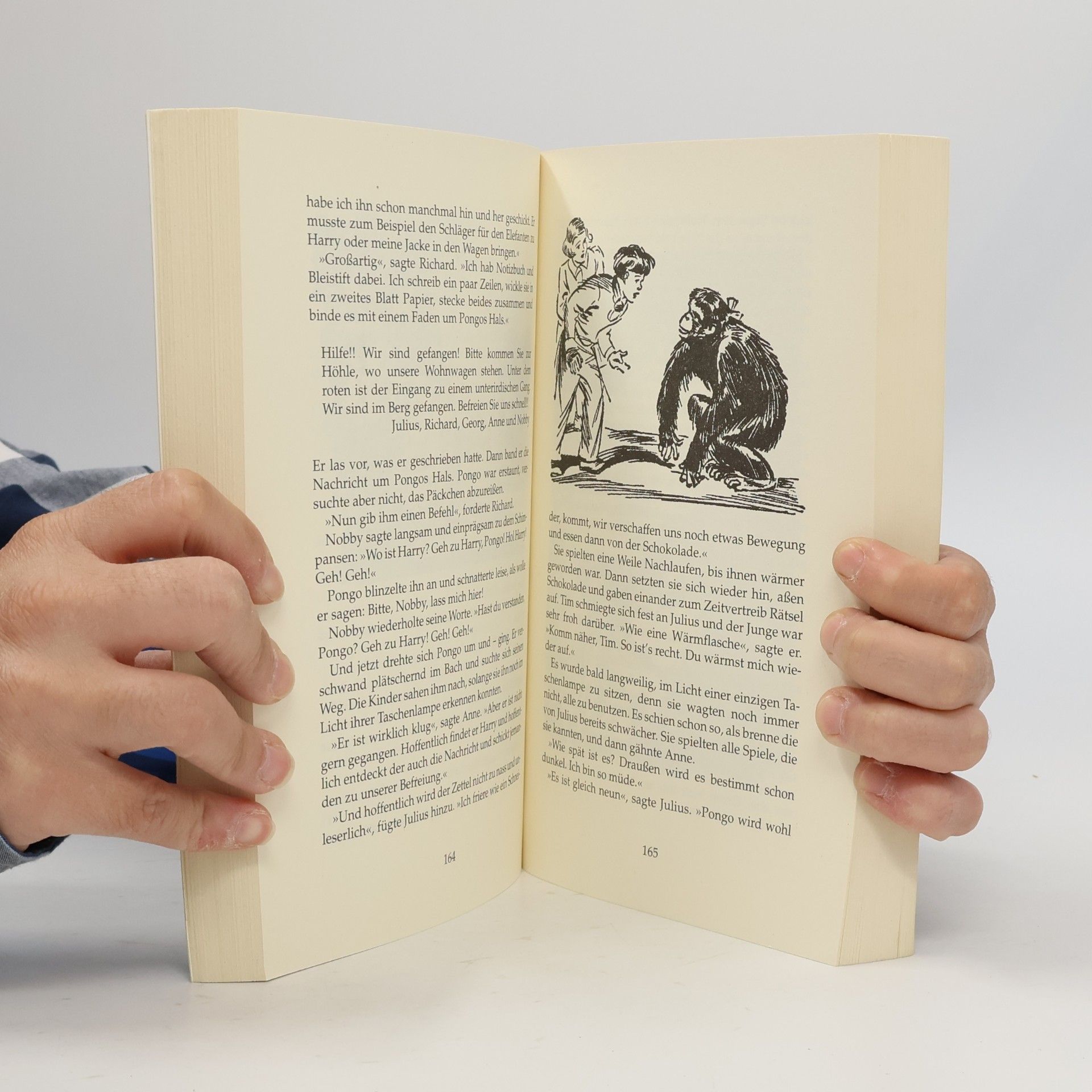 Enid Blyton Fünf Freunde - spannende Fälle