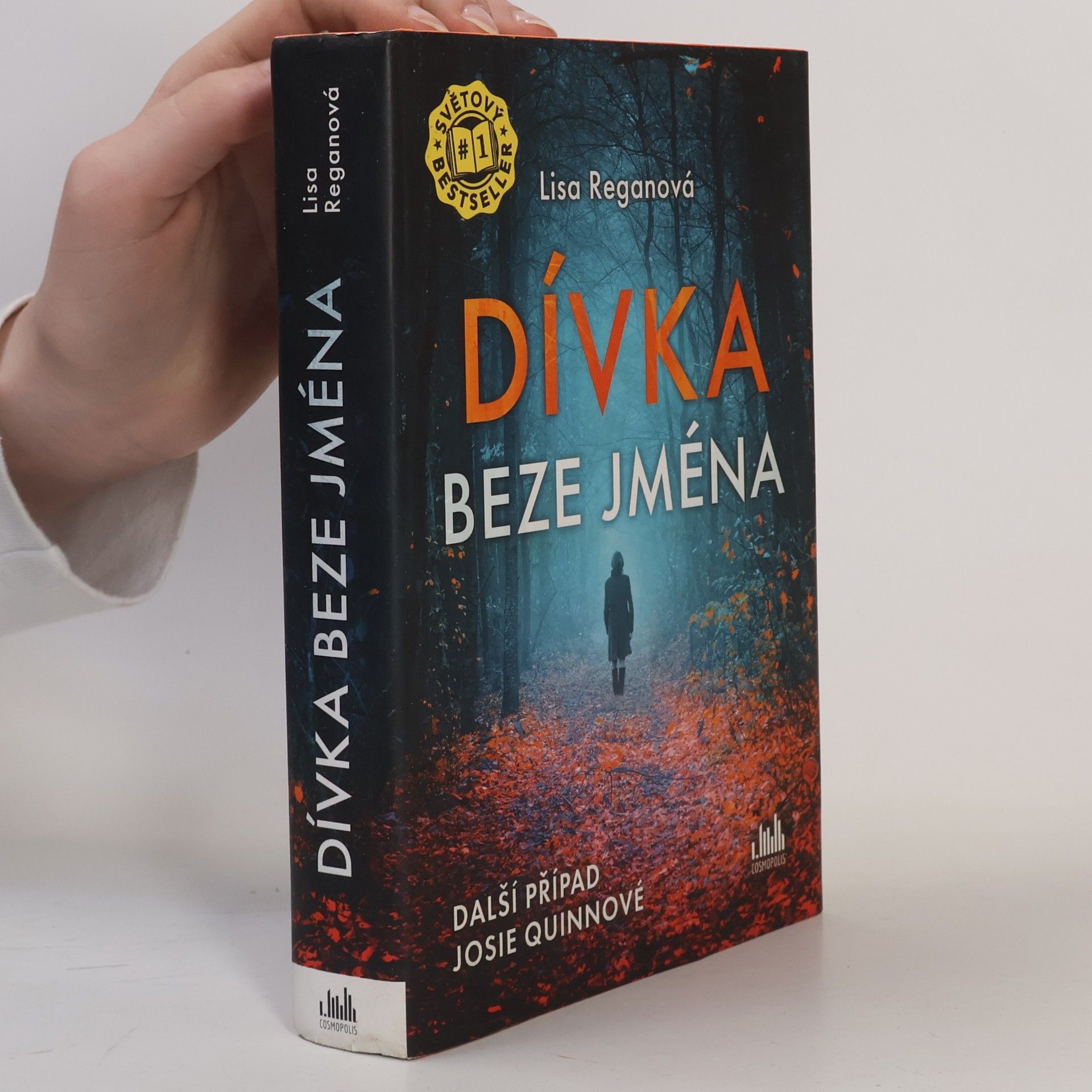 Lisa Regan Dívka beze jména: Další případ Josie Quinnové