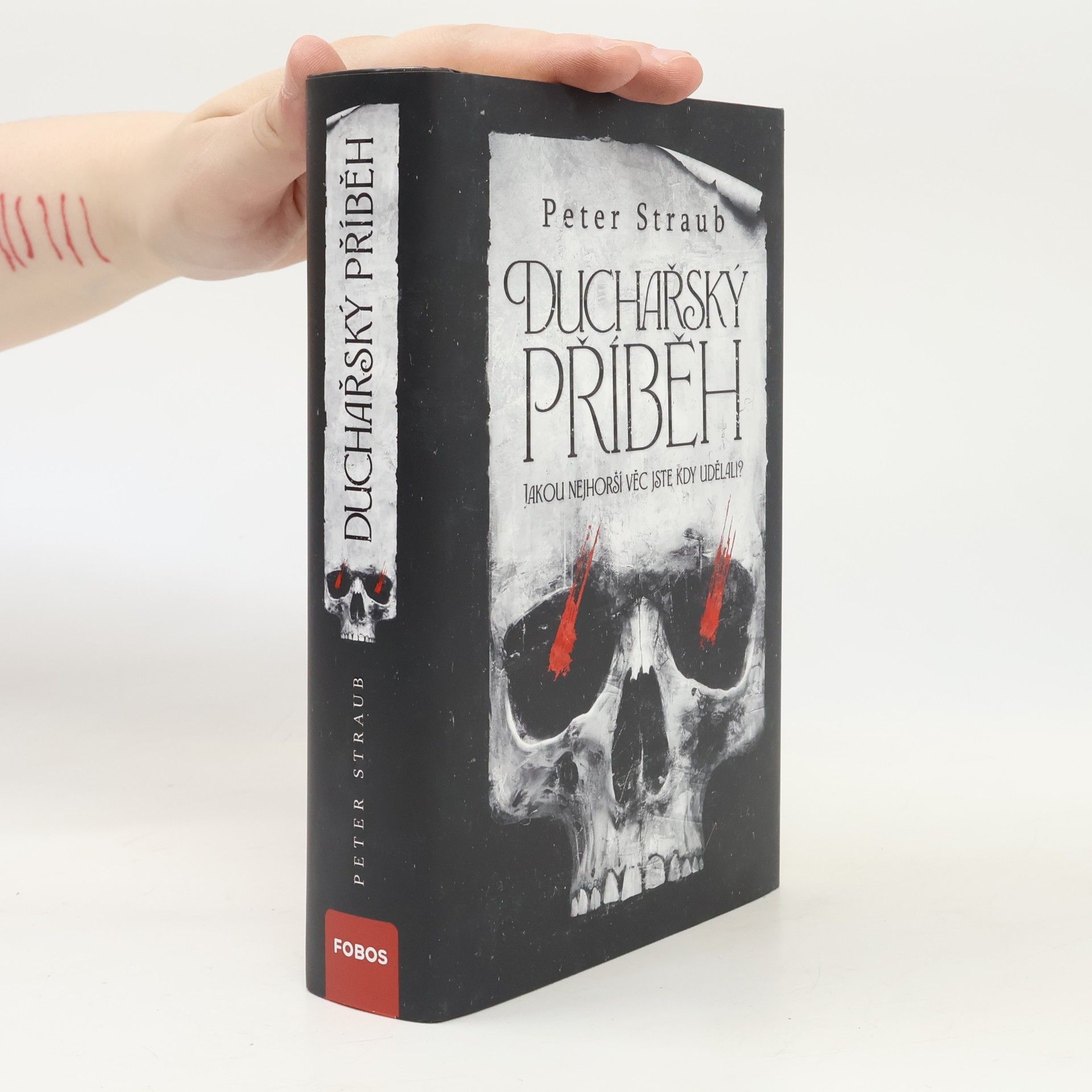 Peter Straub Duchařský příběh