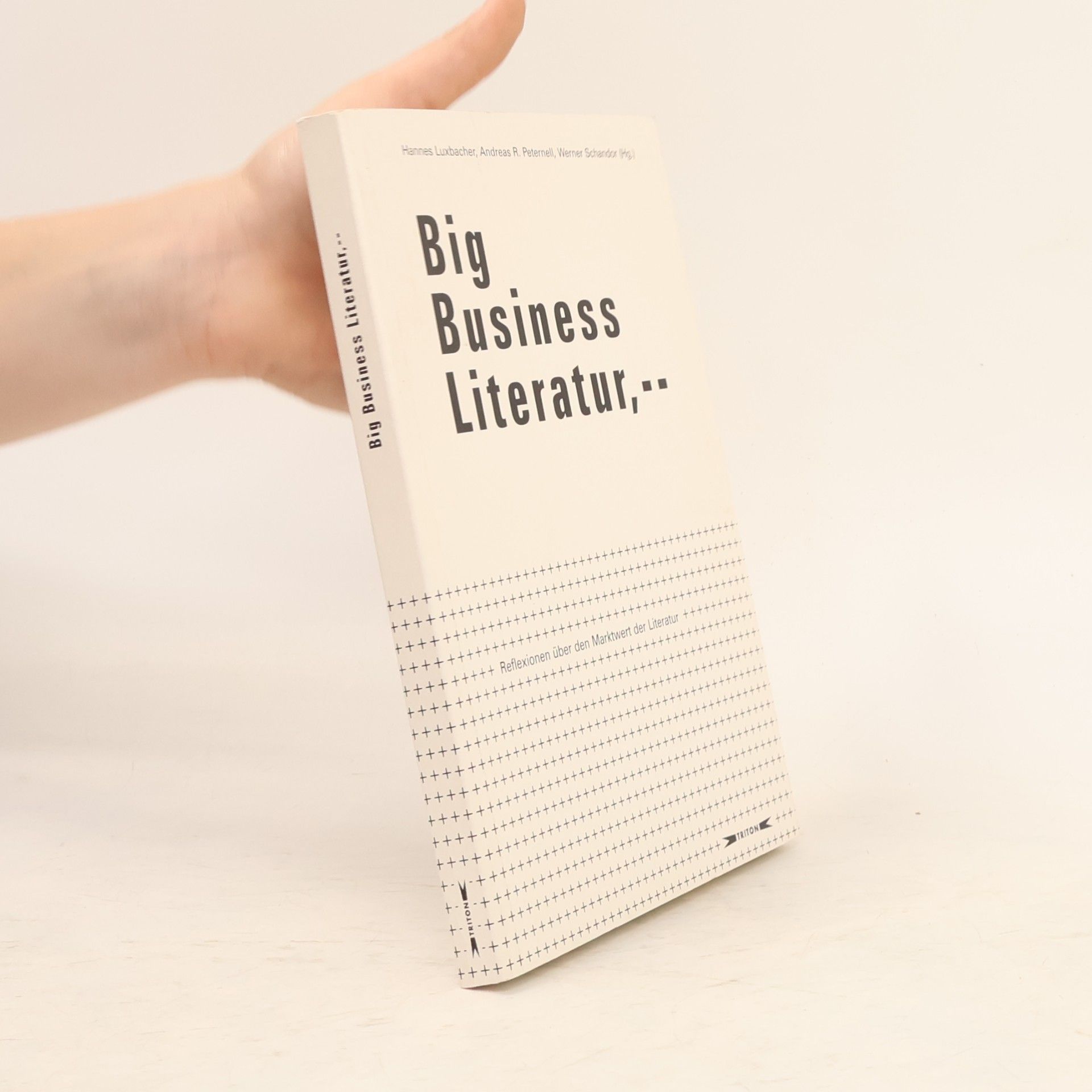 Hannes Luxbacher Big Business Literatur,--