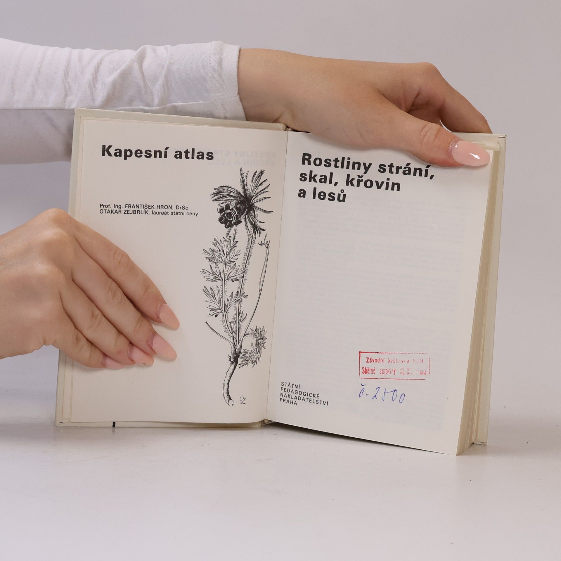 František Hron Rostliny strání, skal, křovin a lesů. Kapesní atlas