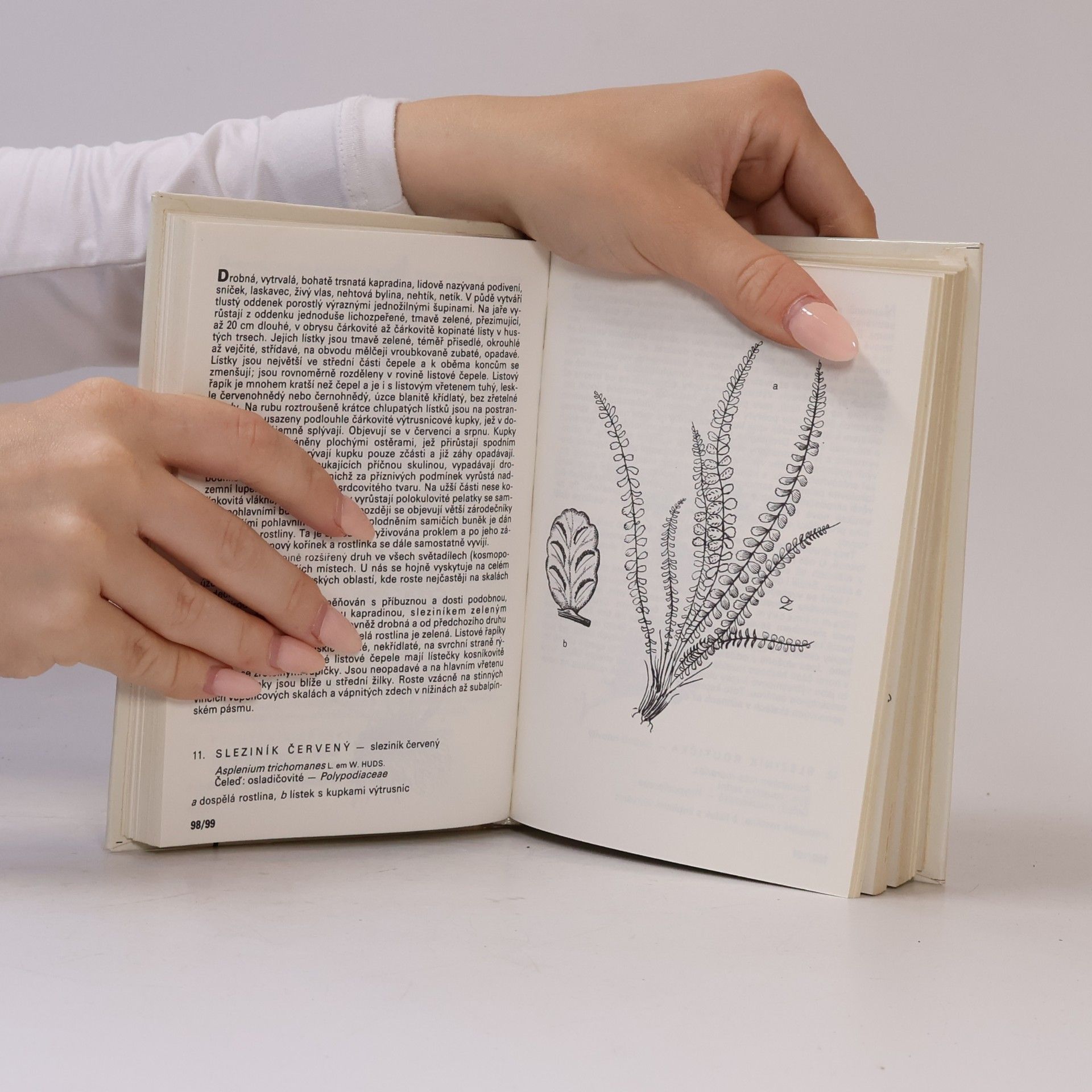 František Hron Rostliny strání, skal, křovin a lesů. Kapesní atlas