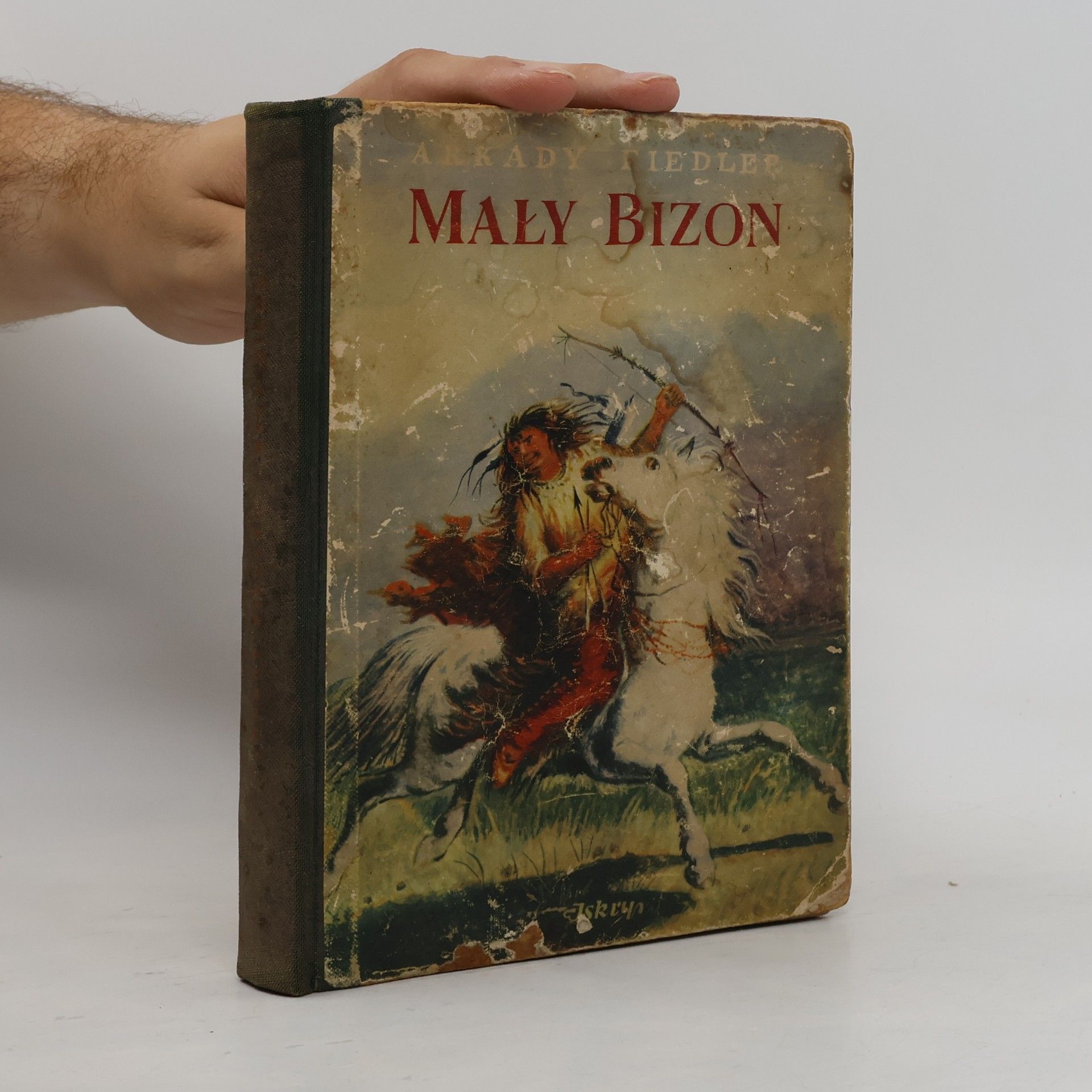 Maly Bizon