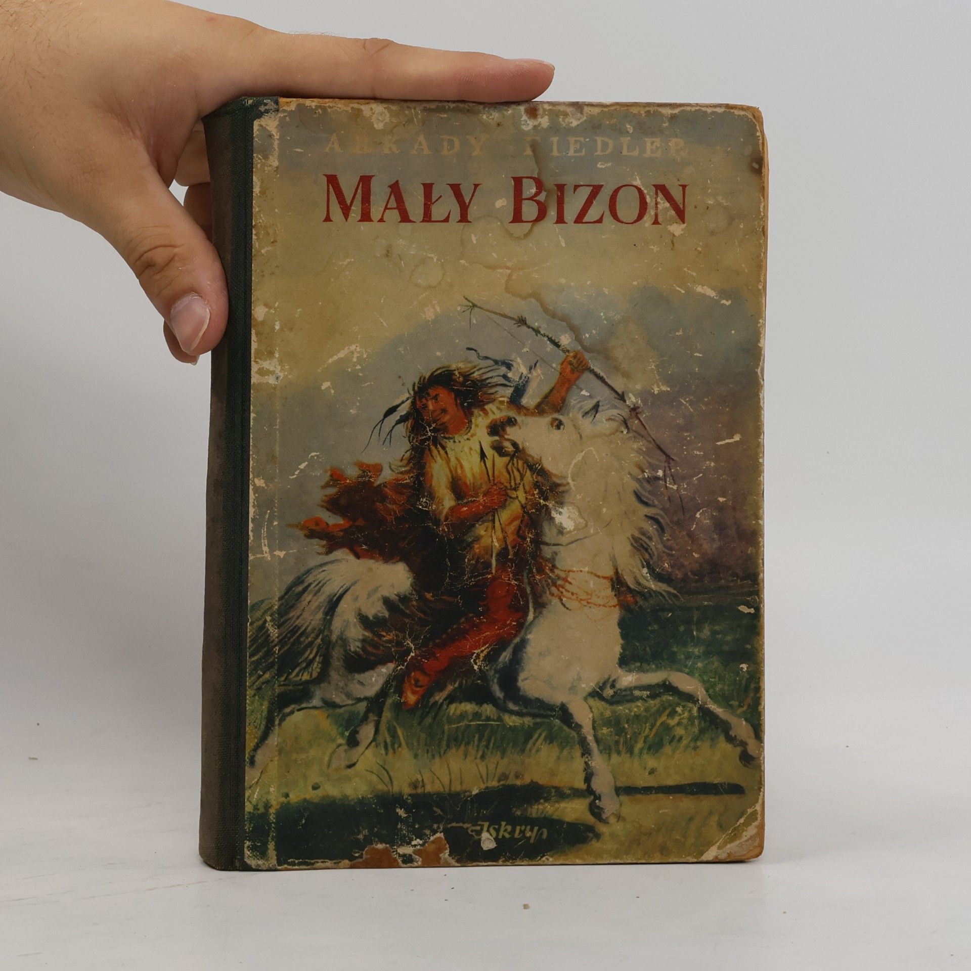 Arkady Fiedler Maly Bizon