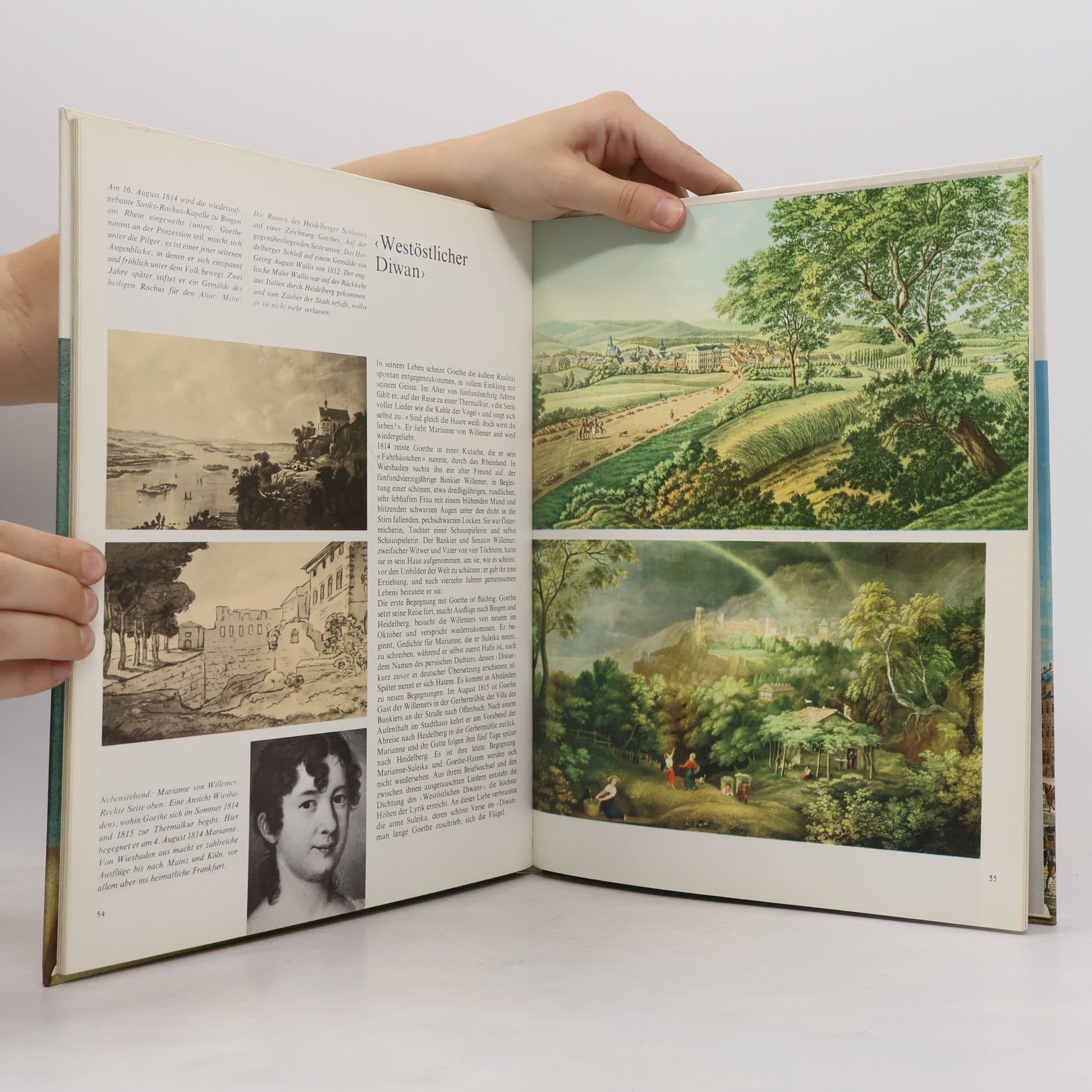 Horst Hohendorf Goethe und seine Zeit