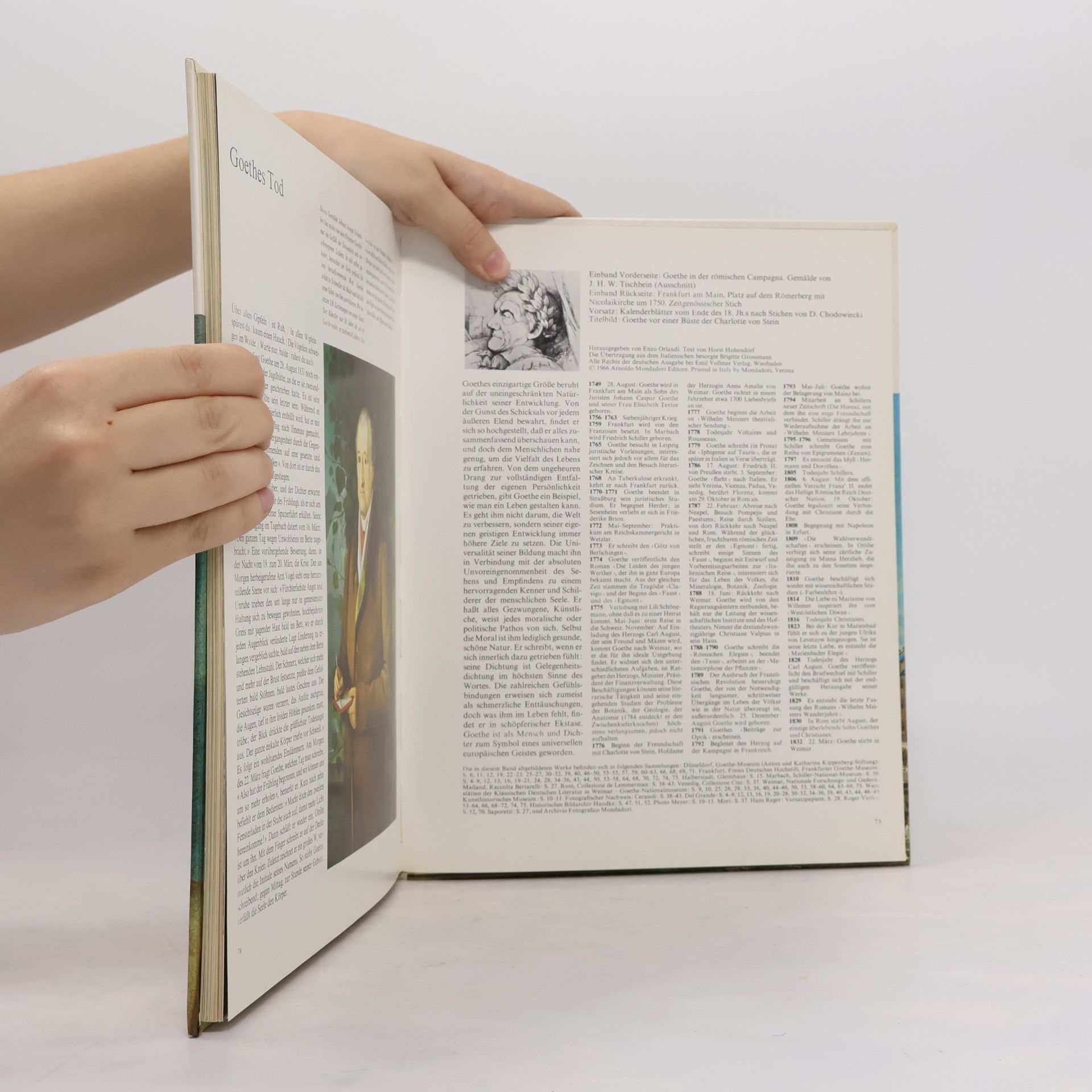 Horst Hohendorf Goethe und seine Zeit