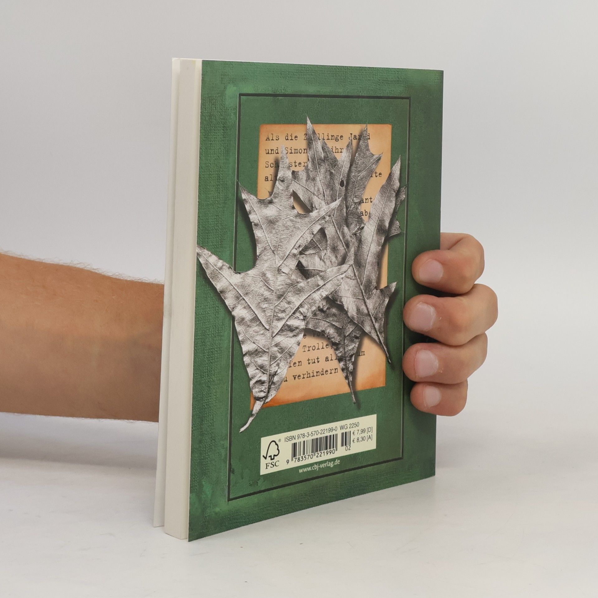 Tony DiTerlizzi Die Spiderwick-Geheimnisse. Der eiserne baum. Buch vier