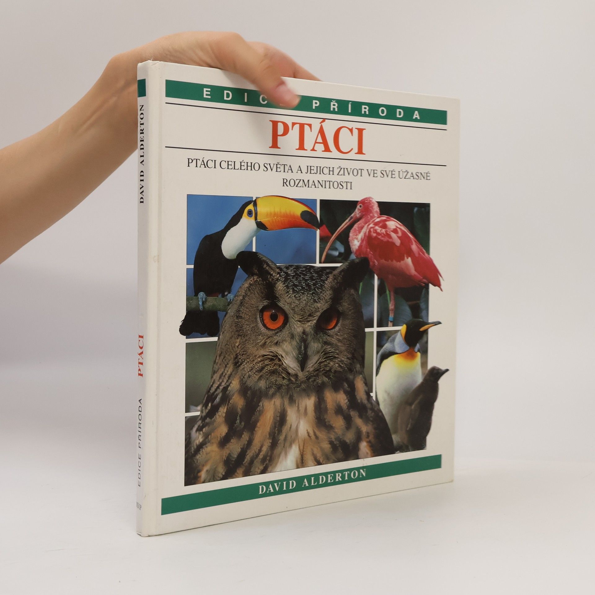 David Alderton Ptáci