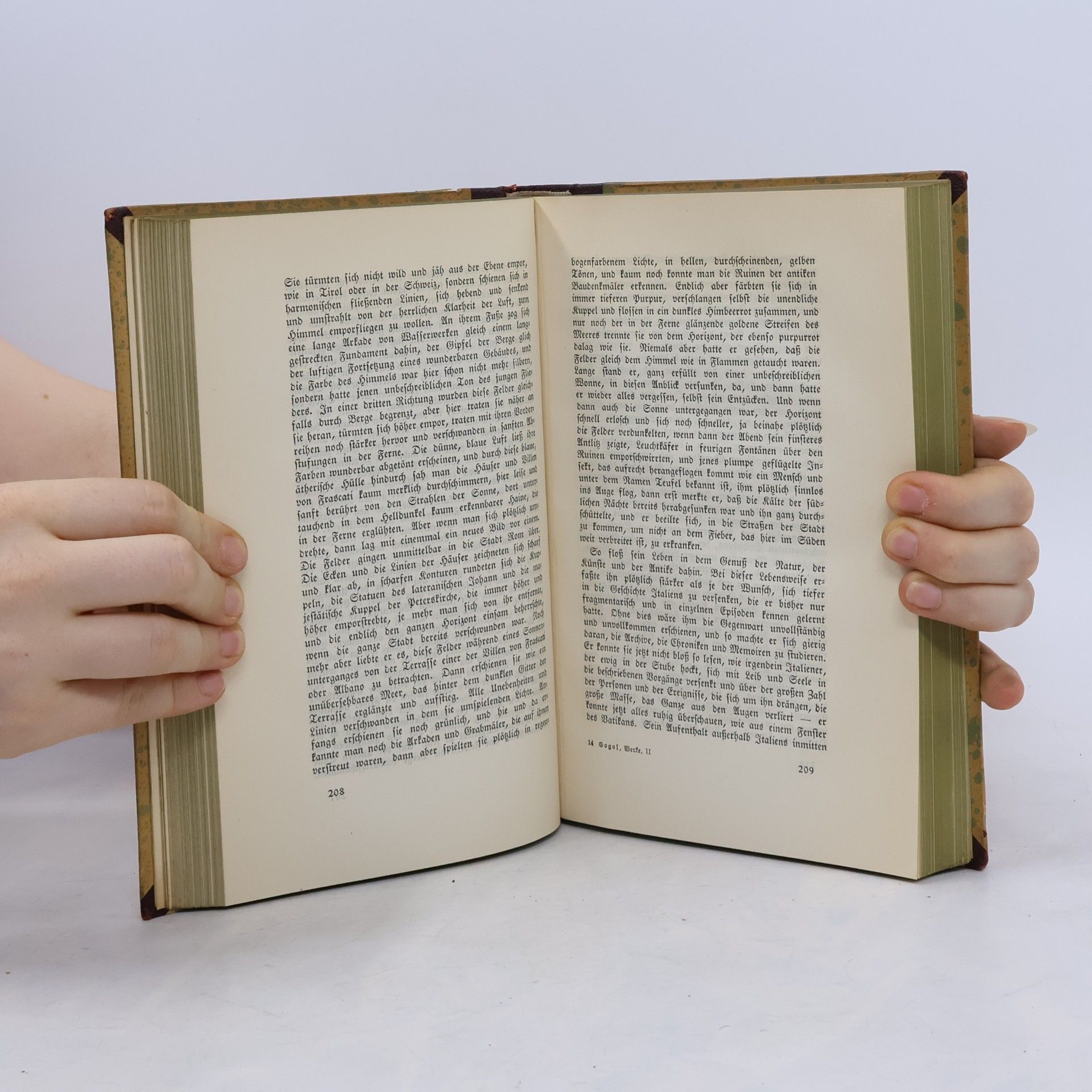 Nikolaus Gogol Meisternovellen 2