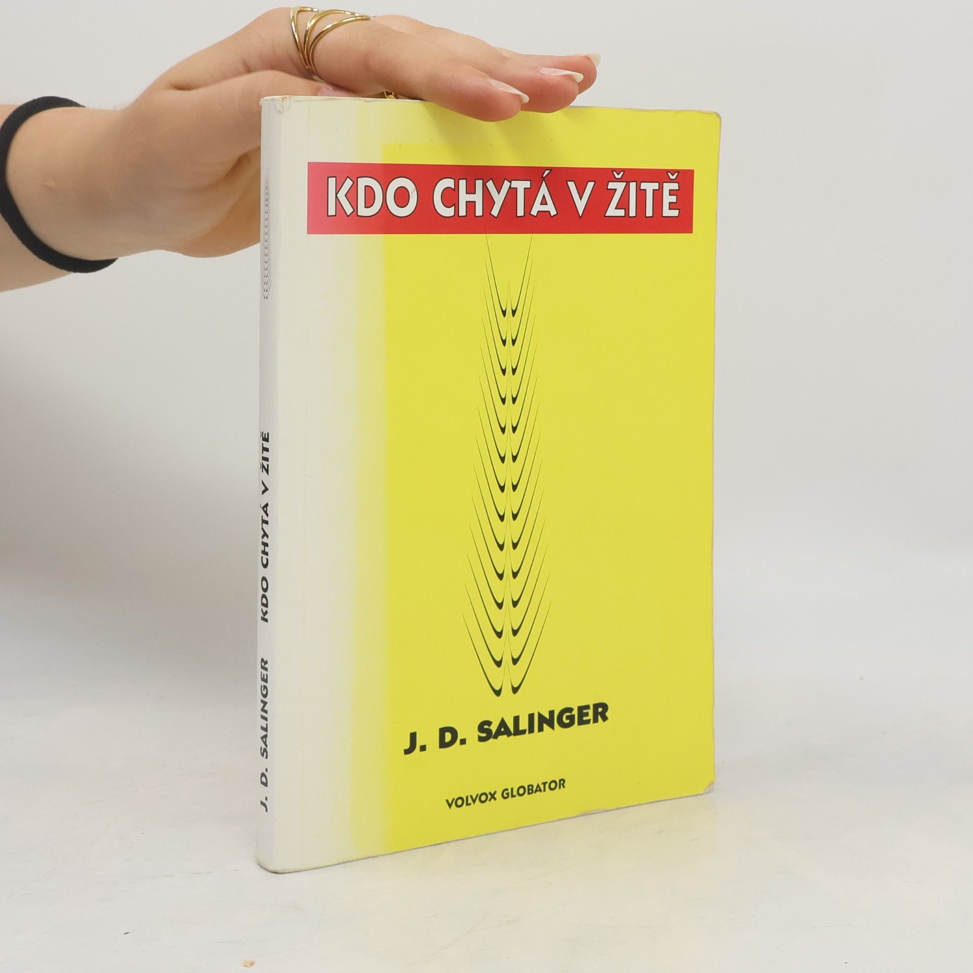 Jerome David Salinger Kdo chytá v žitě