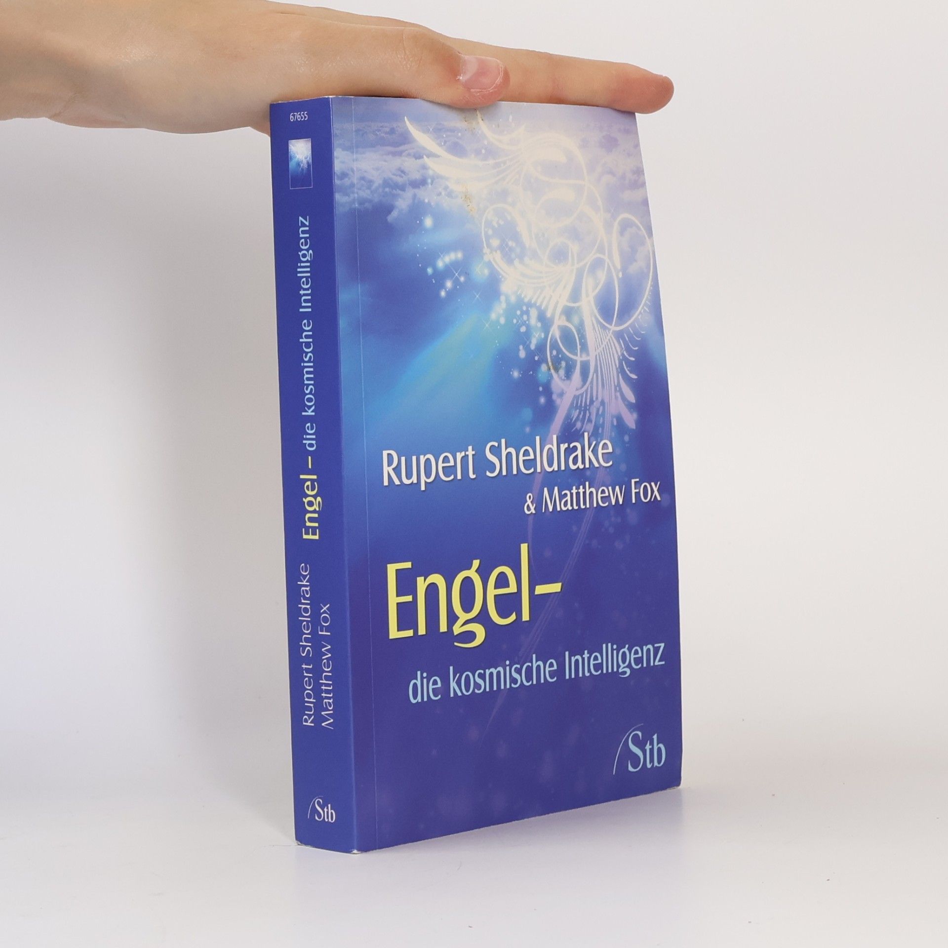 Matthew Fox Engel - die kosmische Intelligenz