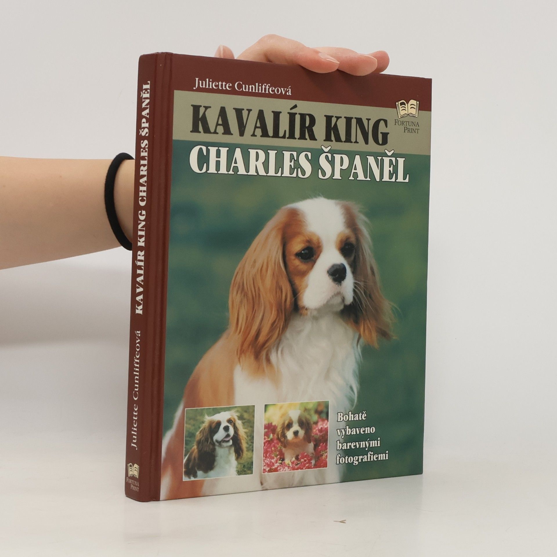 Juliette Cunliffe Kavalír king Charles španěl