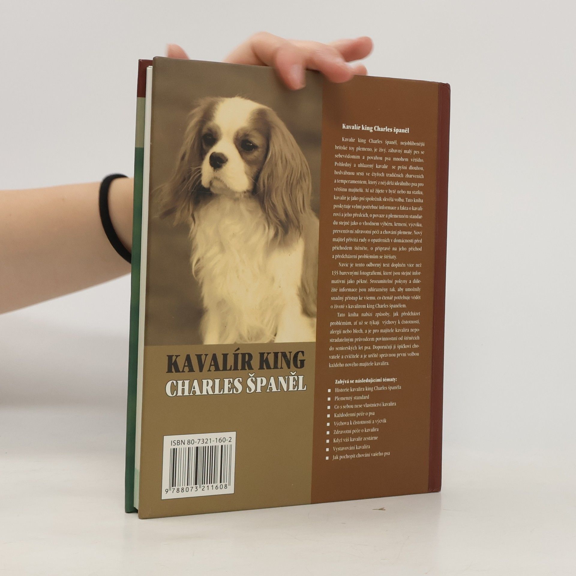 Juliette Cunliffe Kavalír king Charles španěl