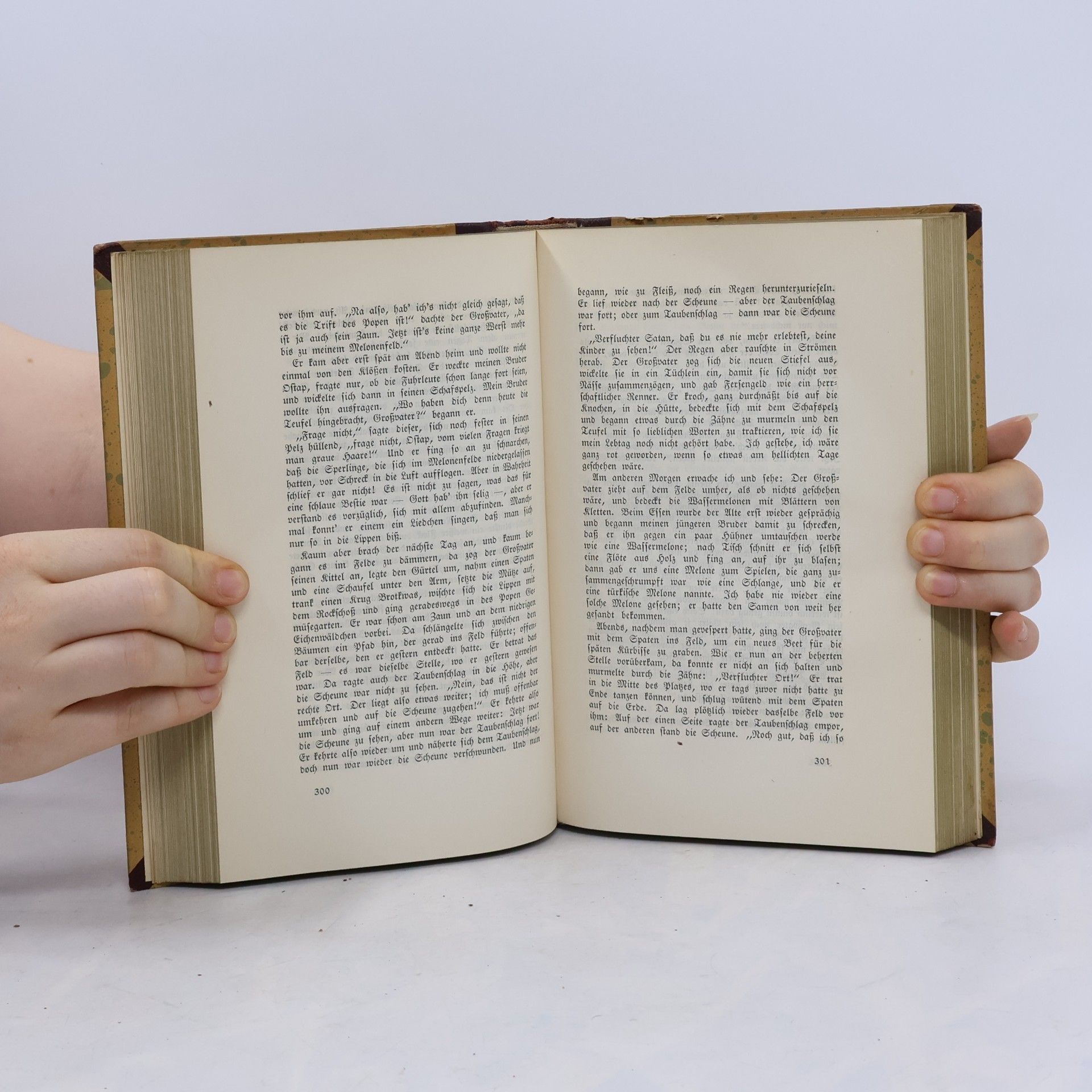 Nikolaus Gogol Phantastische Novellen 1