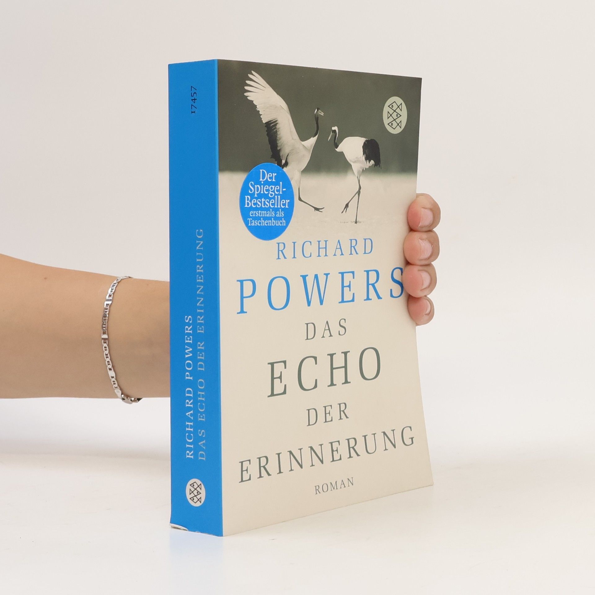 Richard Powers Das Echo der Erinnerung