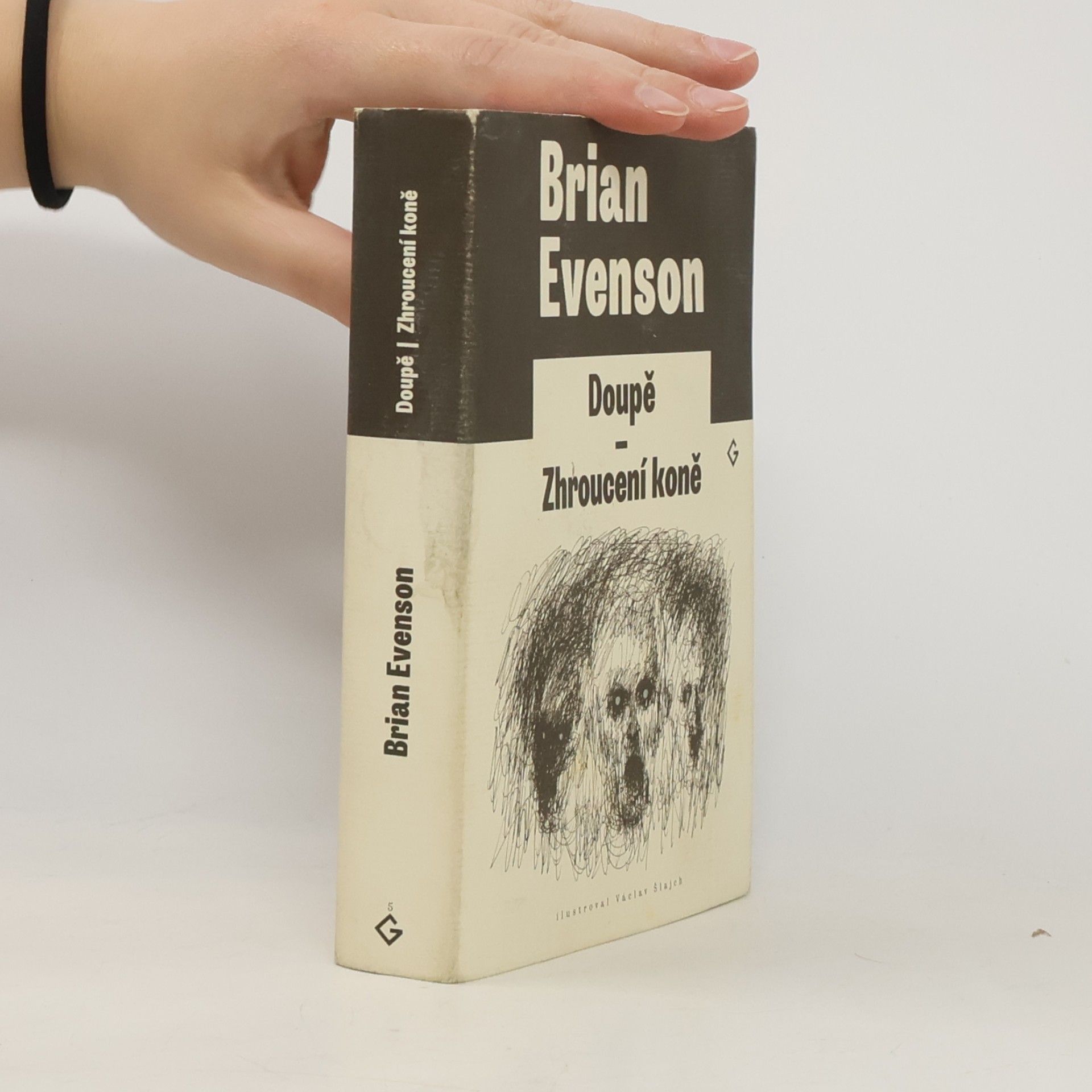 Brian Evenson Doupě / Zhroucení koně