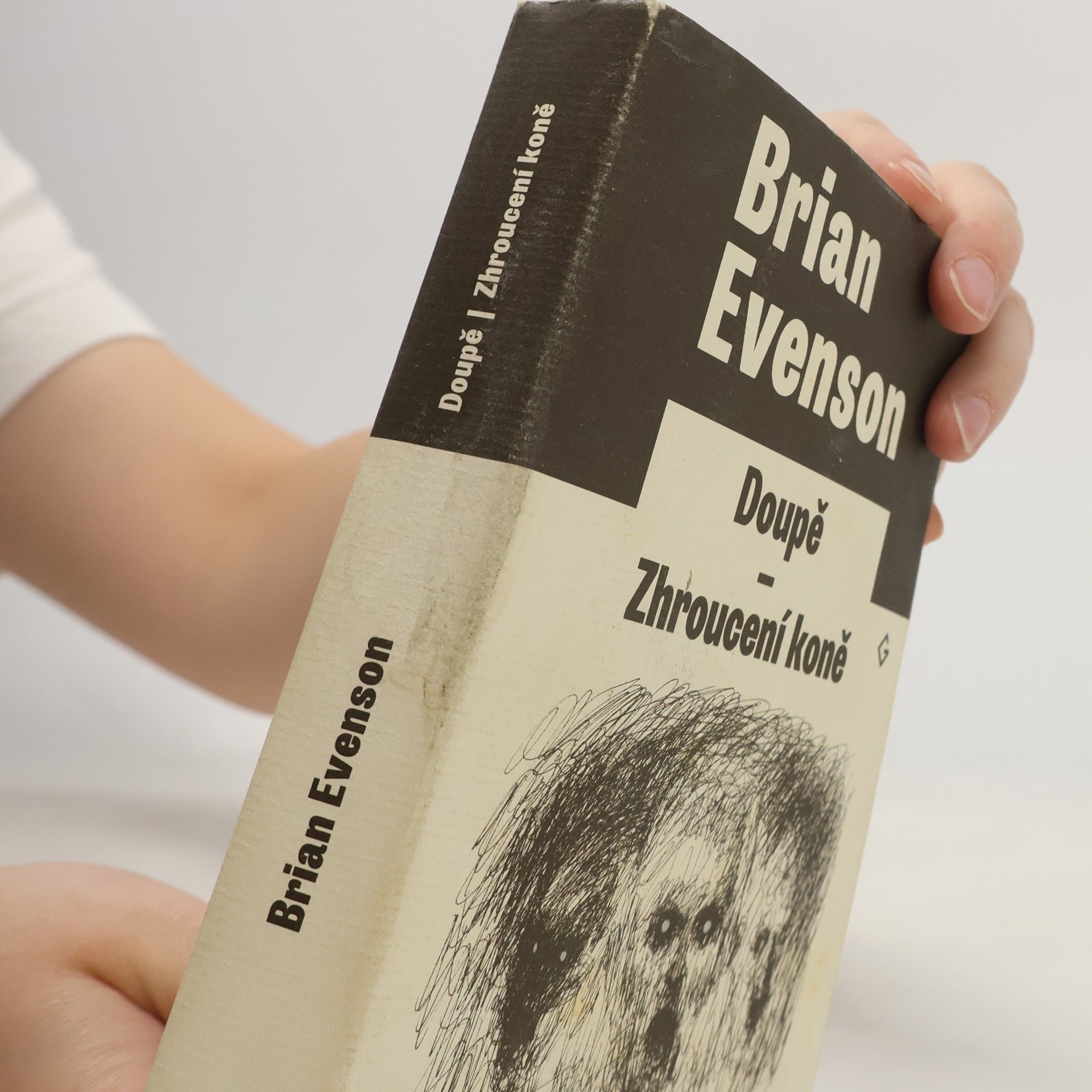 Brian Evenson Doupě / Zhroucení koně