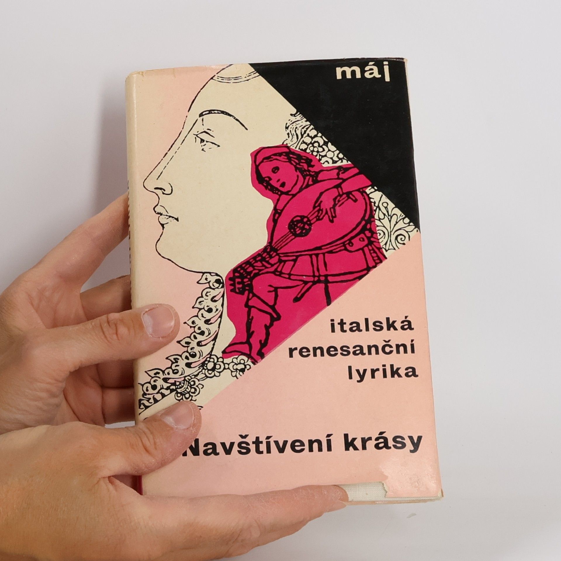 Jan Vladislav Navštívení krásy. Italská renesanční lyrika