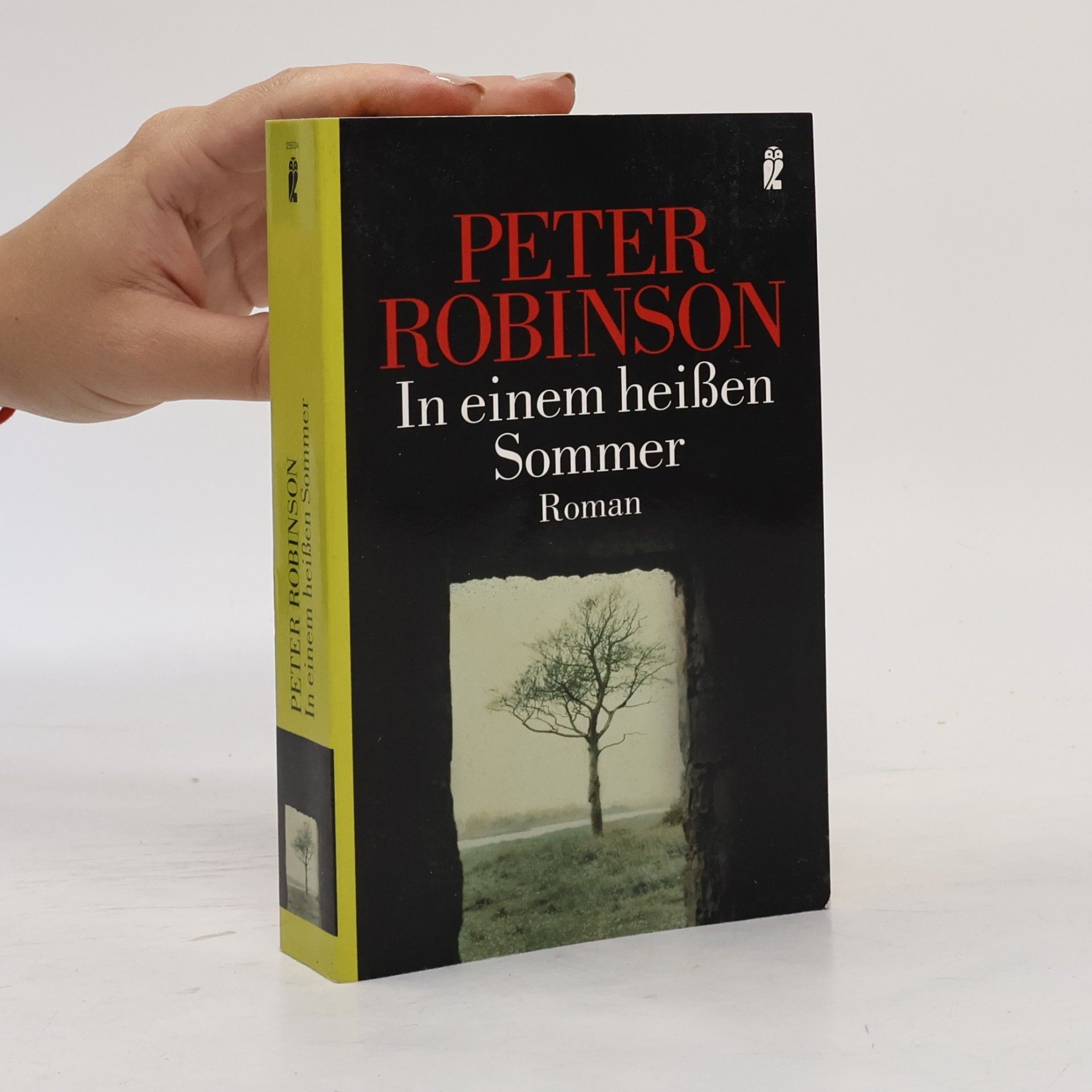 Peter Robinson In einem heißen Sommer