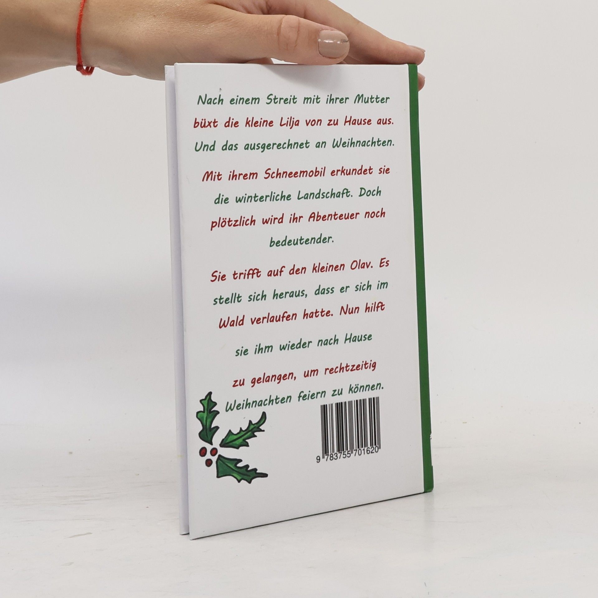 Ben Griessler Das Weihnachtsabenteuer