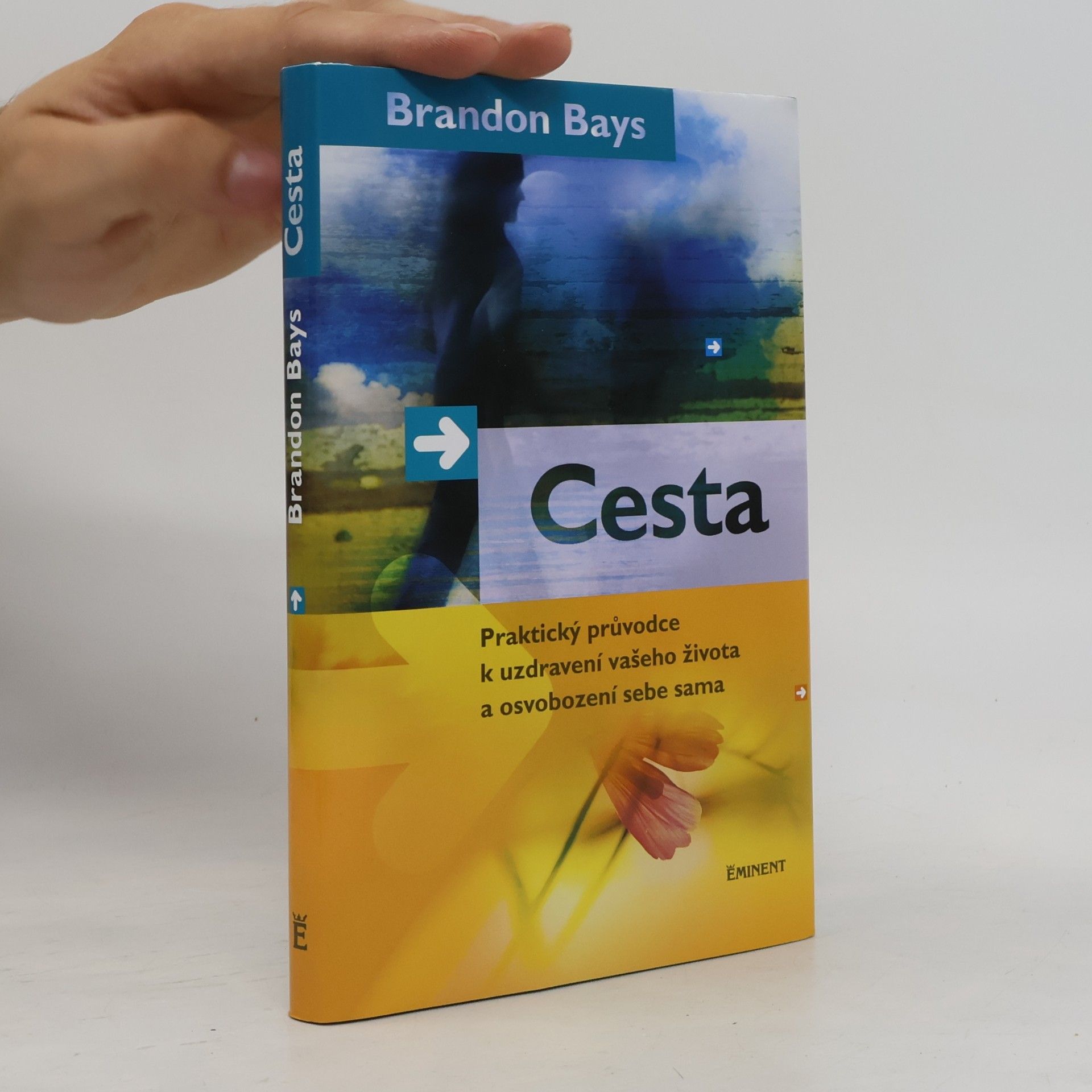 Brandon Bays Cesta