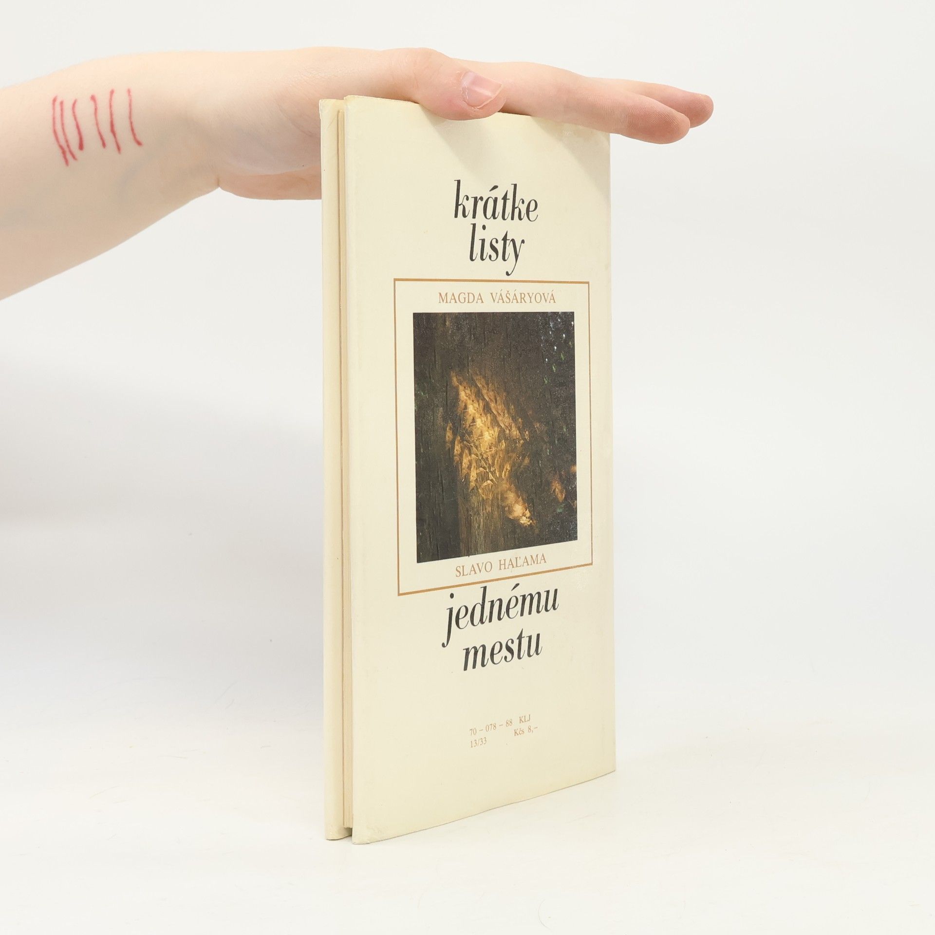 Magda Vášáryová Krátke listy jednému mestu