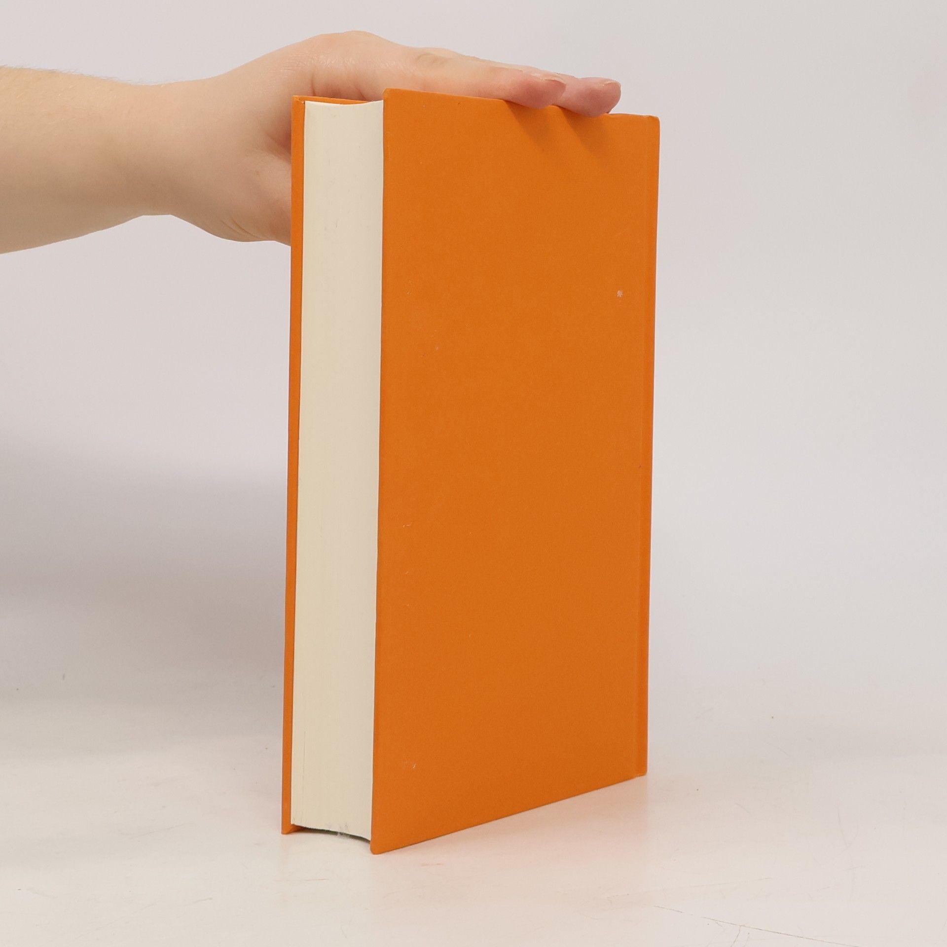 Marlene Streeruwitz Flammenwand