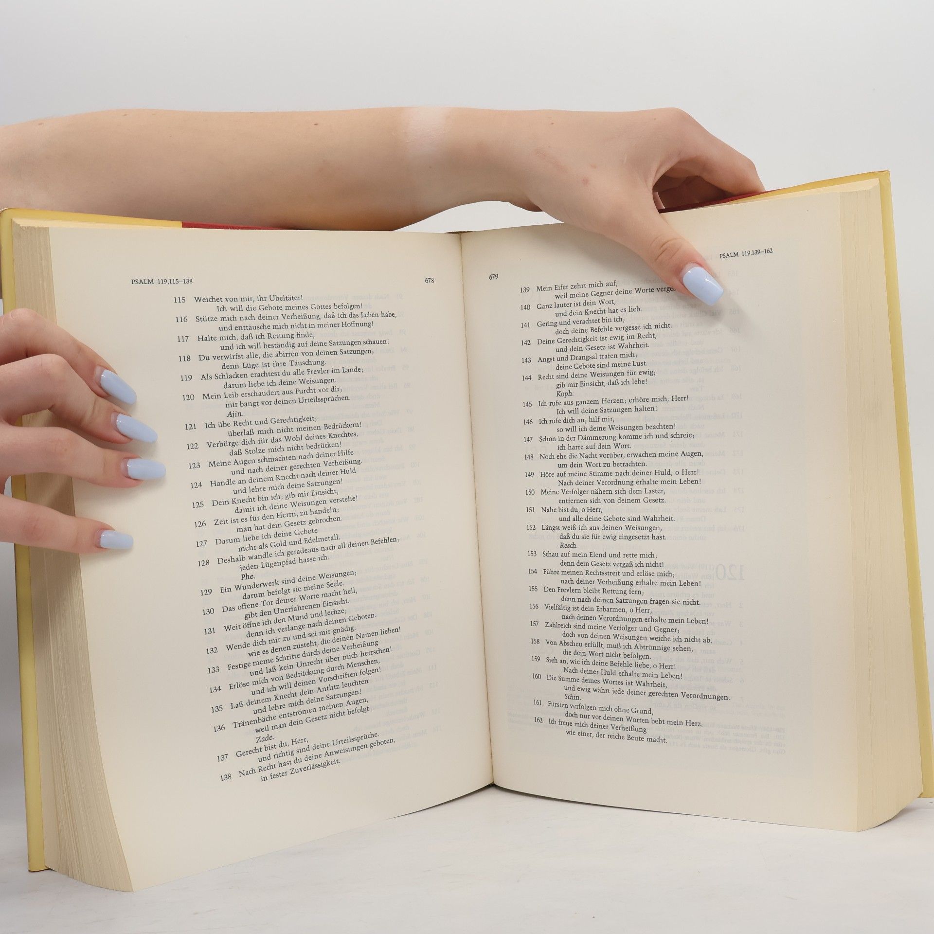 kolektiv Die Bibel. Altes Und Neues Testament