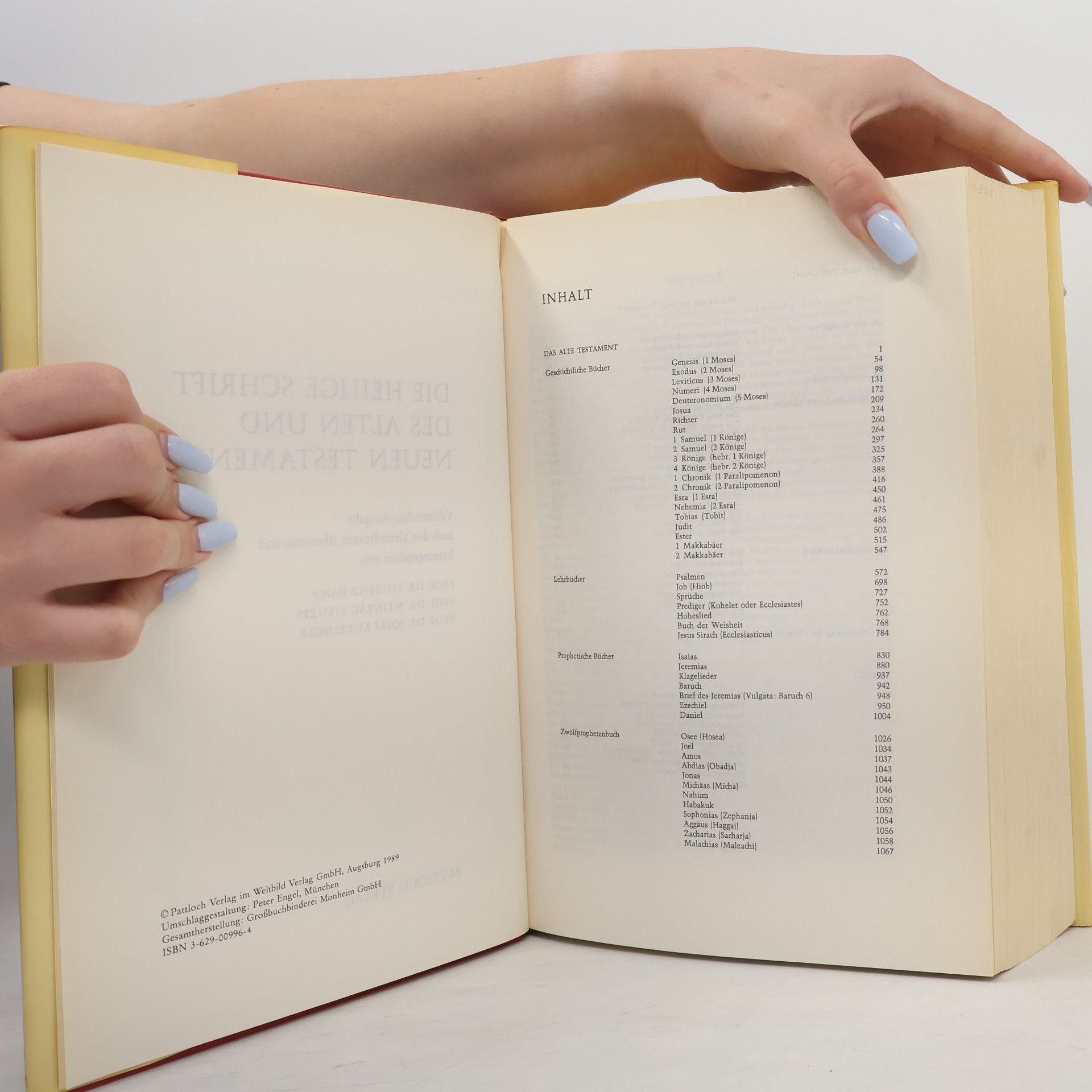 kolektiv Die Bibel. Altes Und Neues Testament