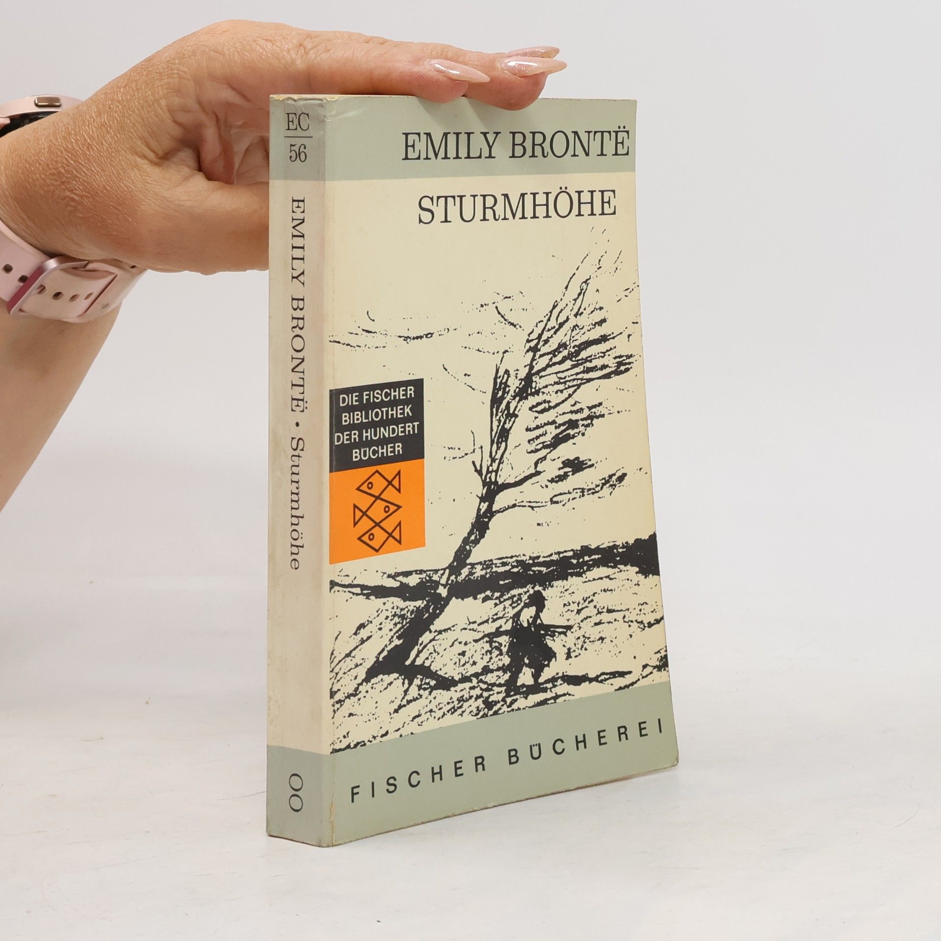 Emily Brontë Sturmhöhe