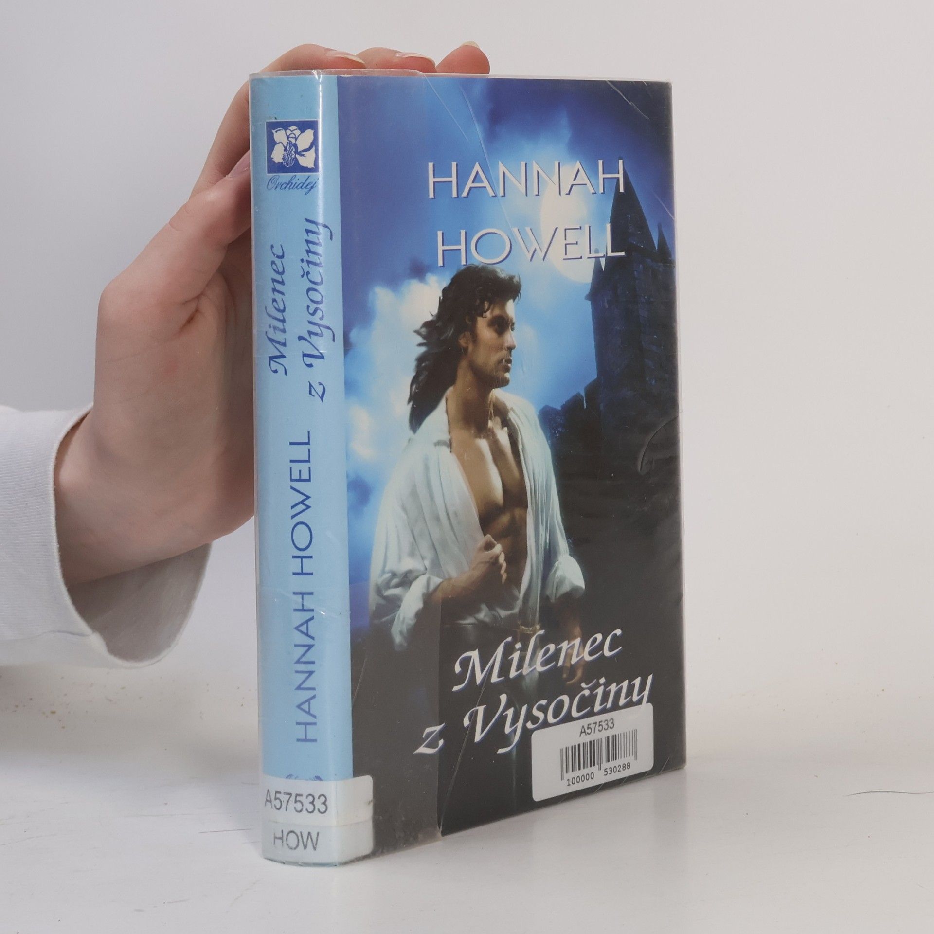 Hannah Howell Milenec z Vysočiny