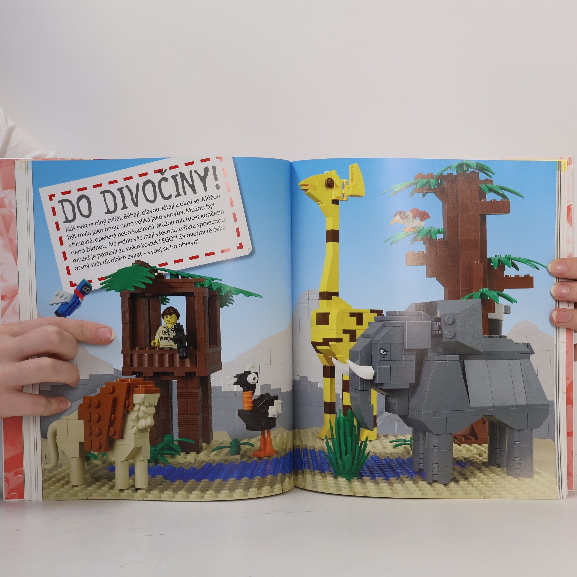 Daniel Lipkowitz Lego. Kniha nápadů