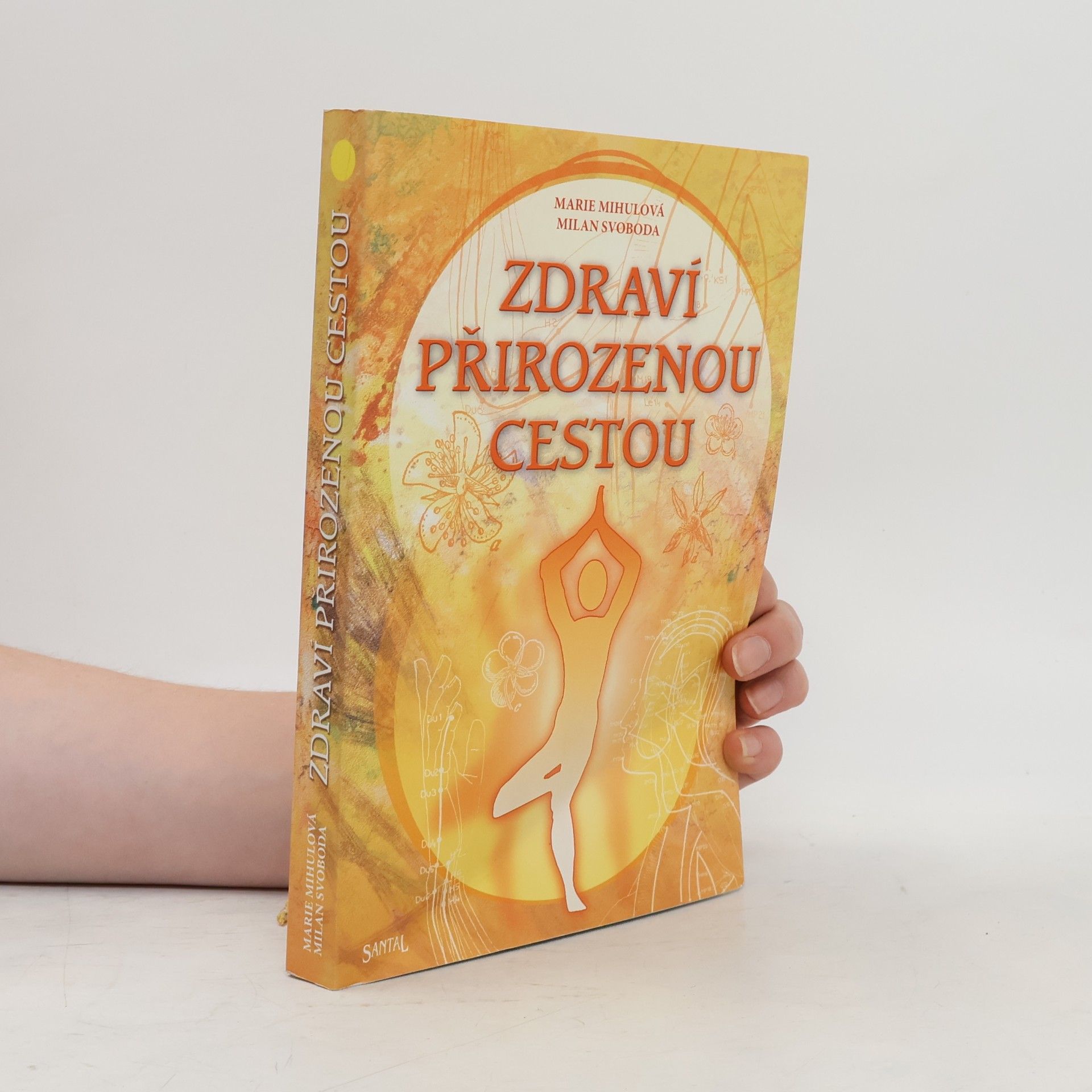 M. Mihulová Základy jógy